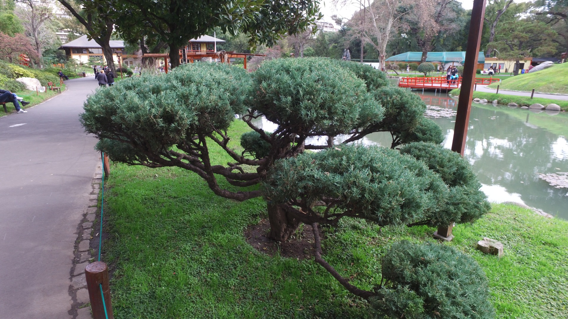 Jardim japonês em Buenos Aires