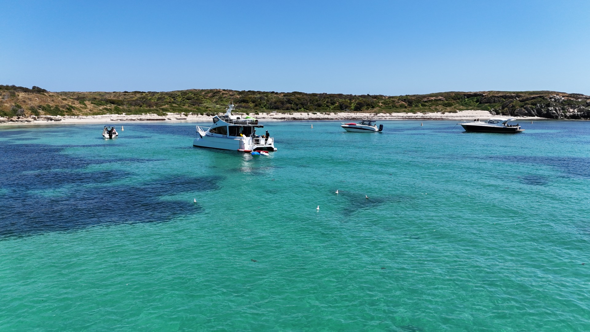 Carnac Island - Western Australia