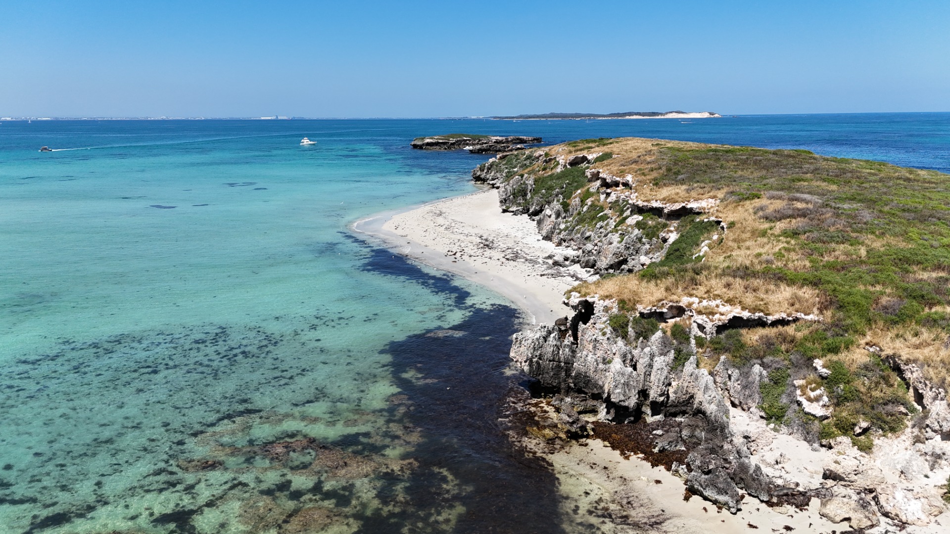 Carnac Island - Western Australia