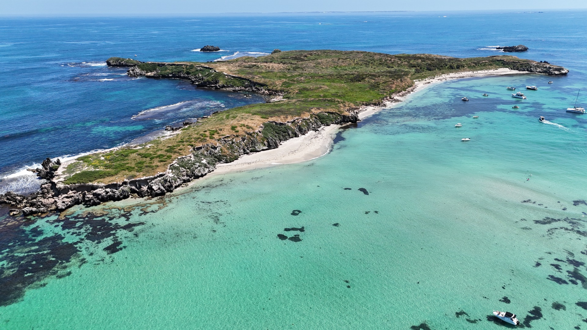 Carnac Island - Western Australia