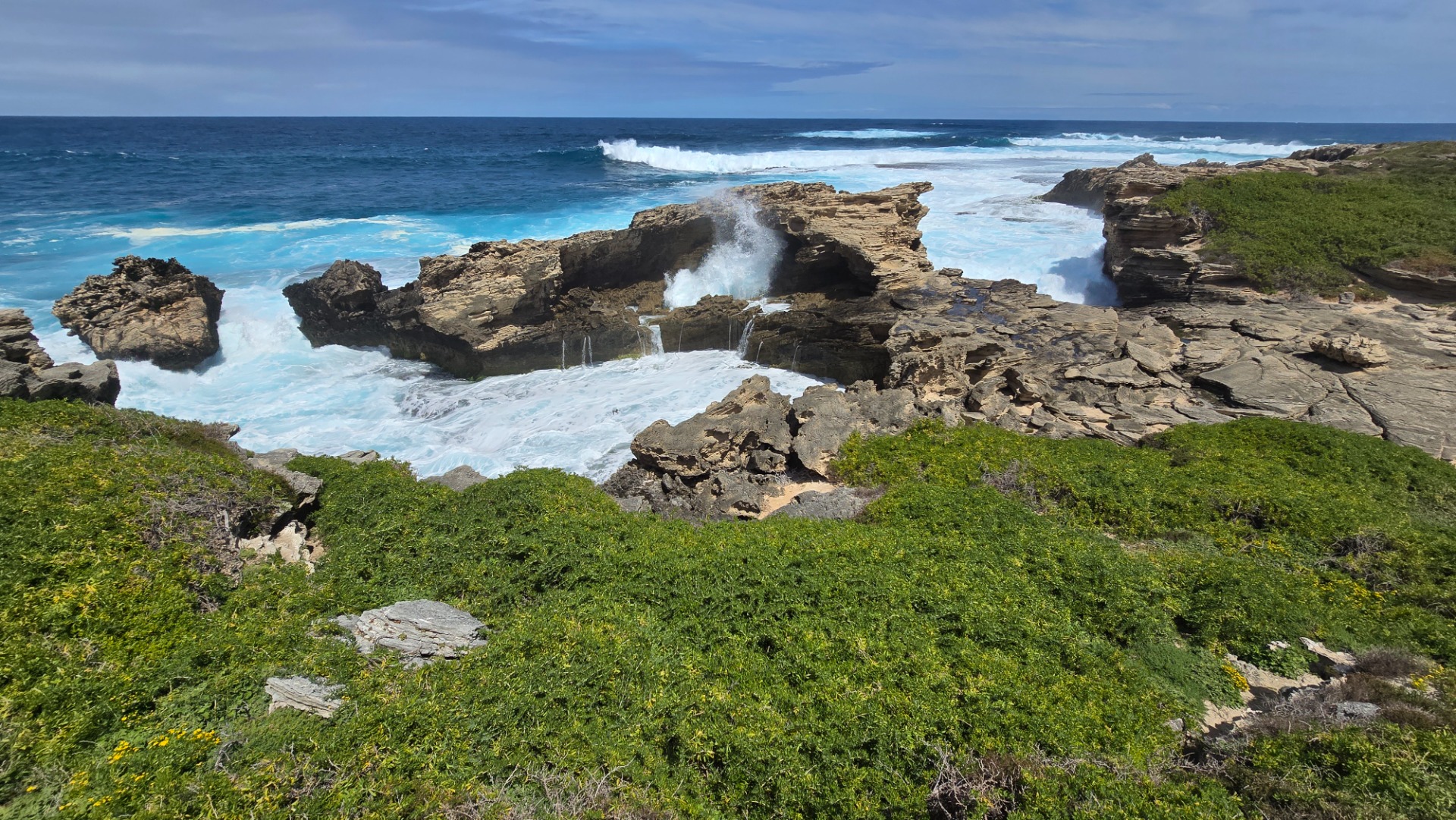 Rosttnet island - Western Australia