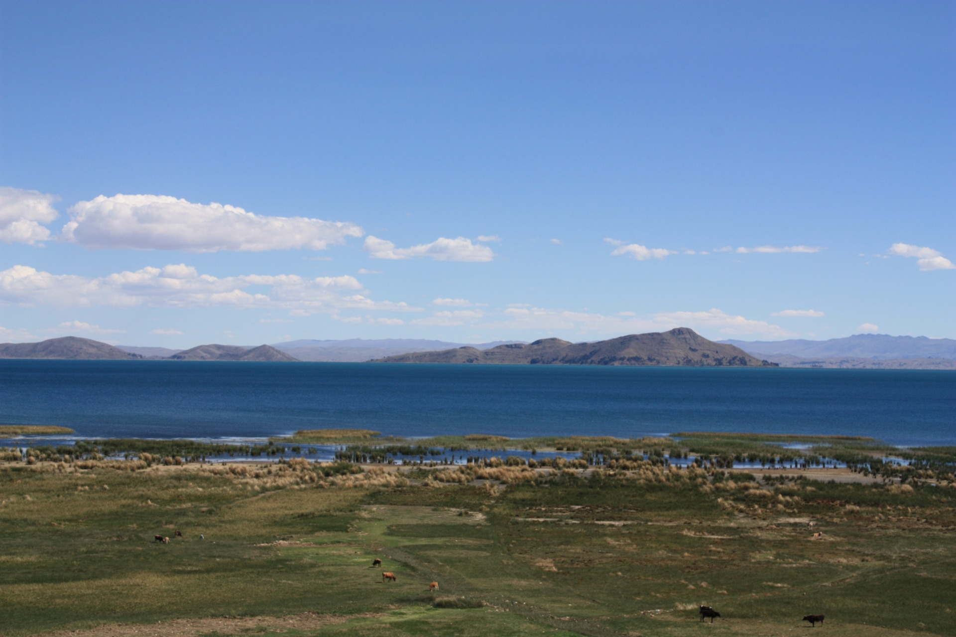 Lago Titicaca -Lado Boliviano