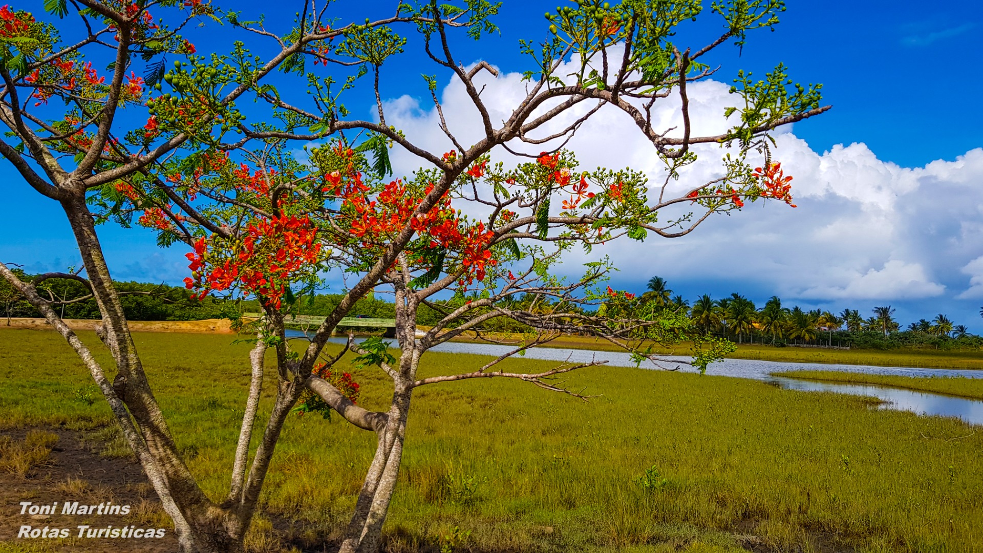 Praias de Mogiquiçaba