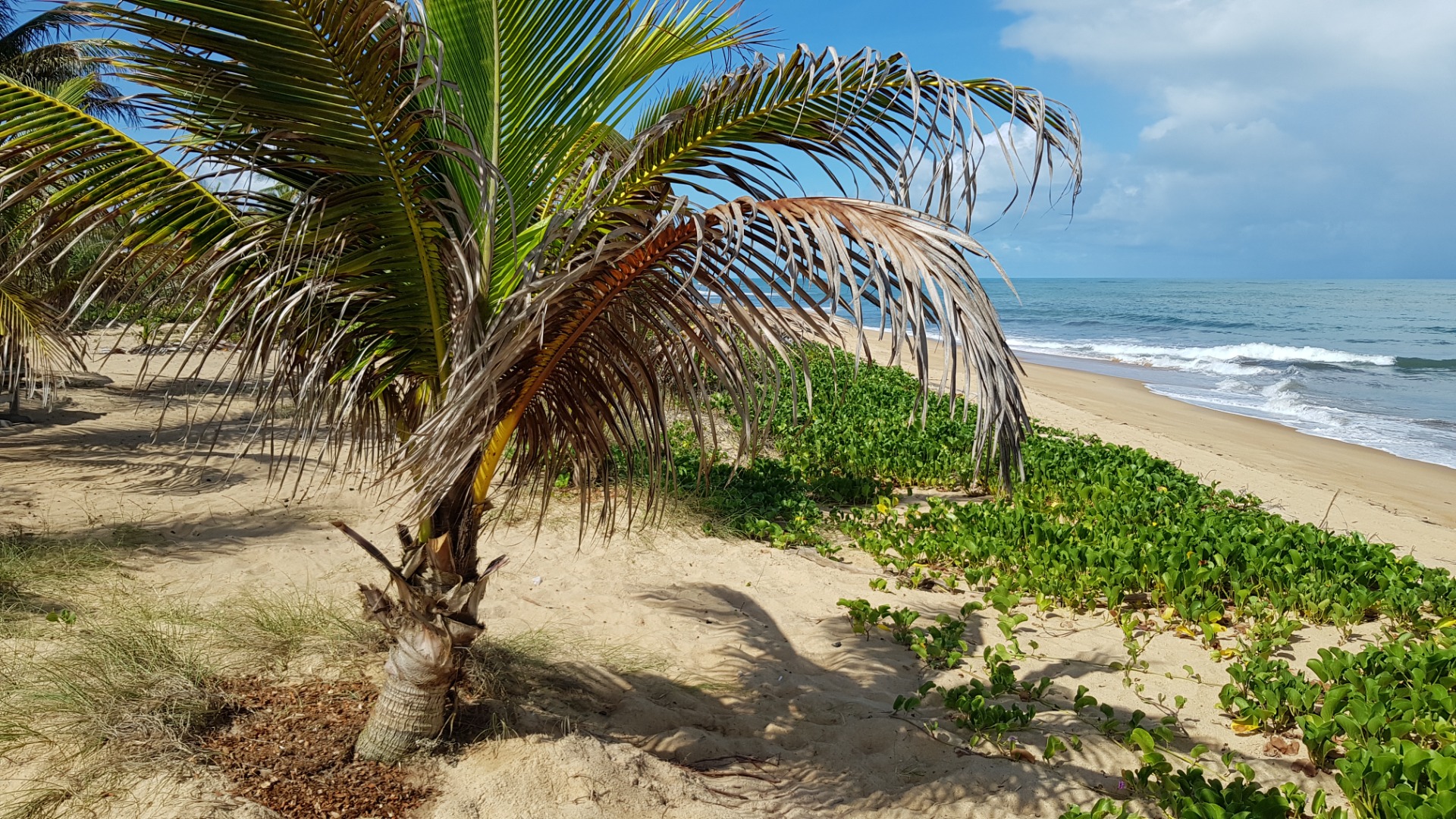Praias de Mogiquiçaba