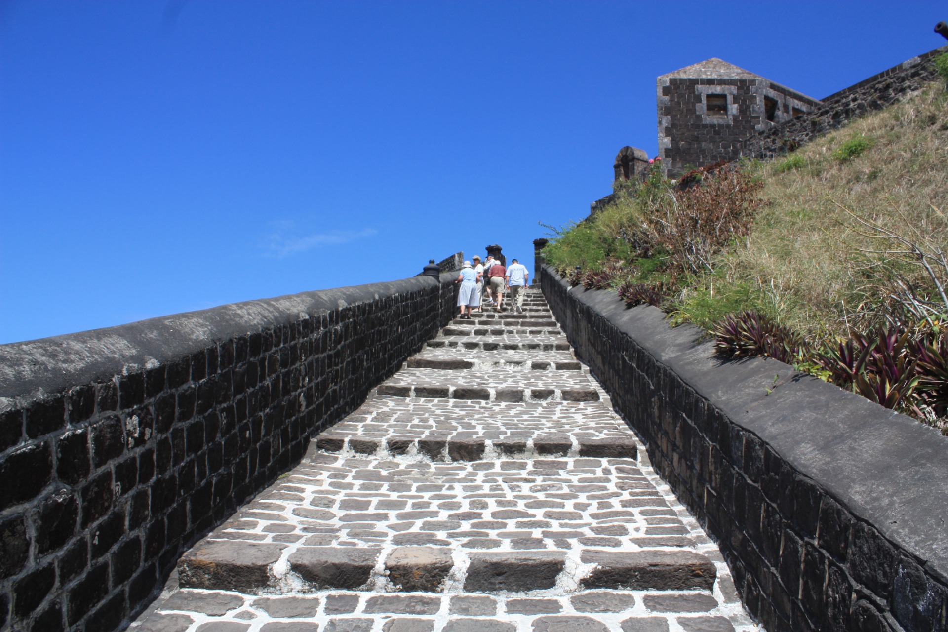 Ilha de Saint Kits. Caraíbas