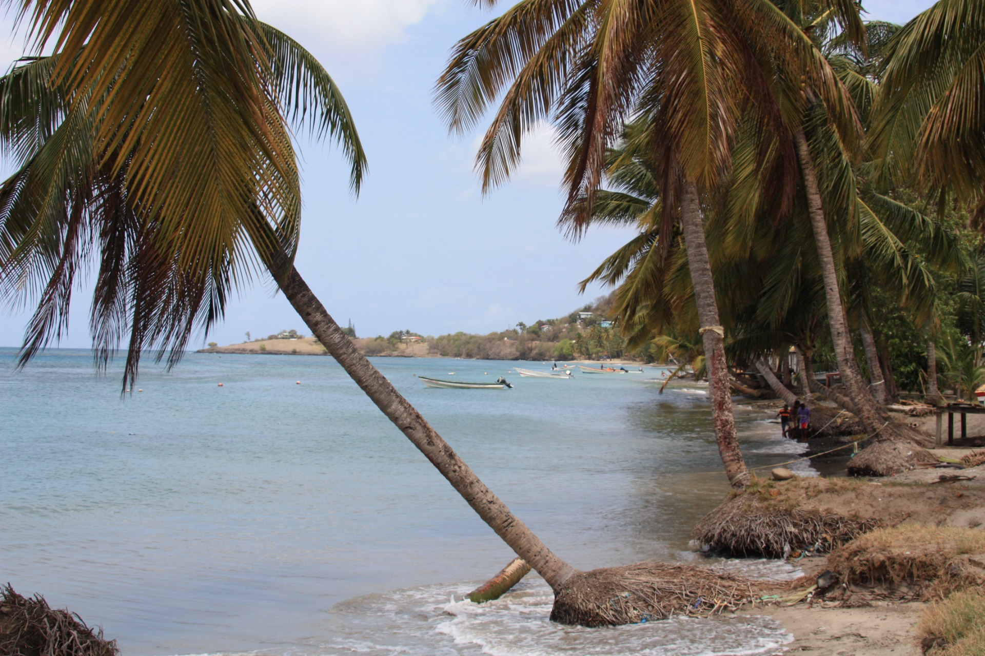 Ilha de Santa Lucia. Caraíbas
