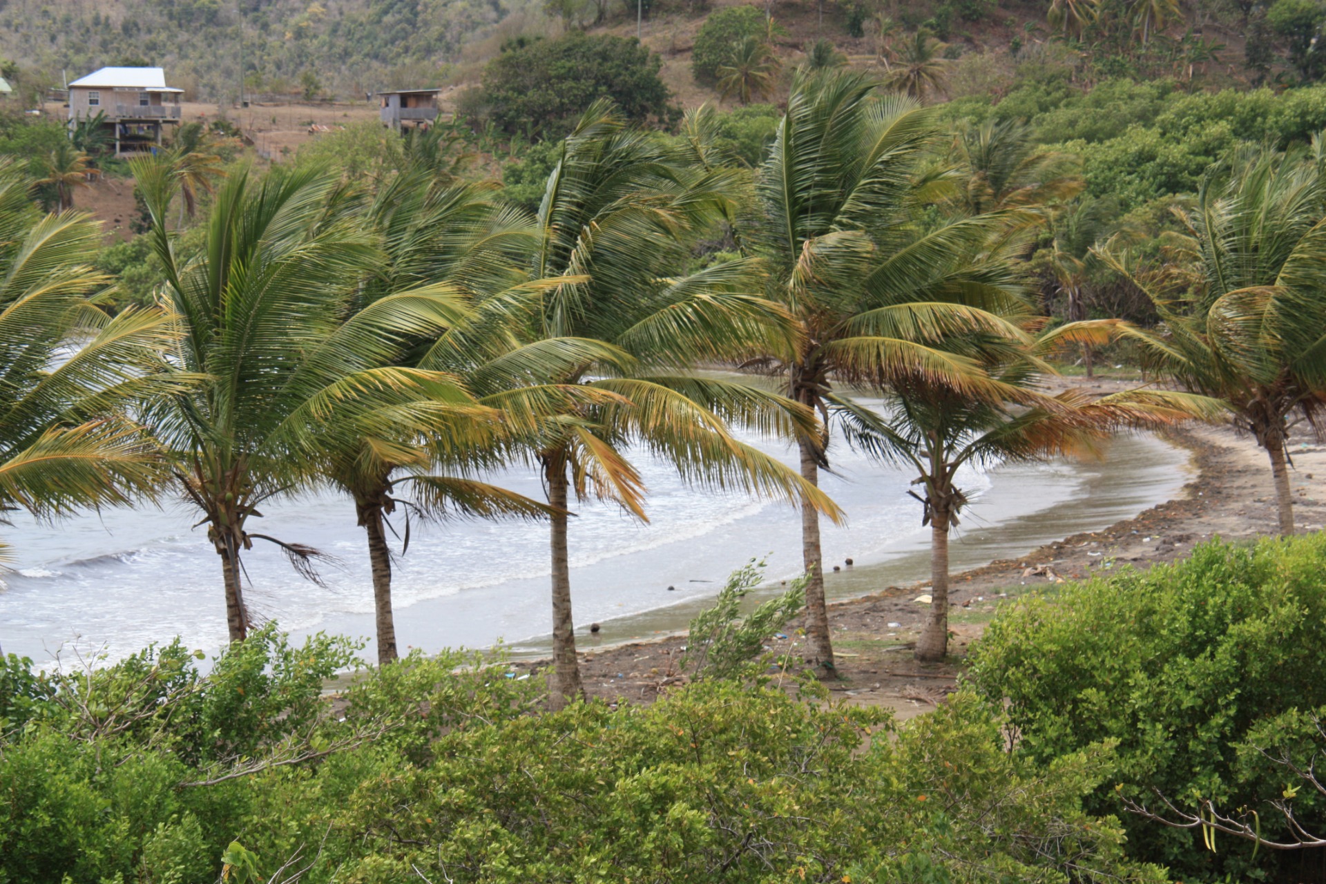 Ilha de Santa Lucia. Caraíbas