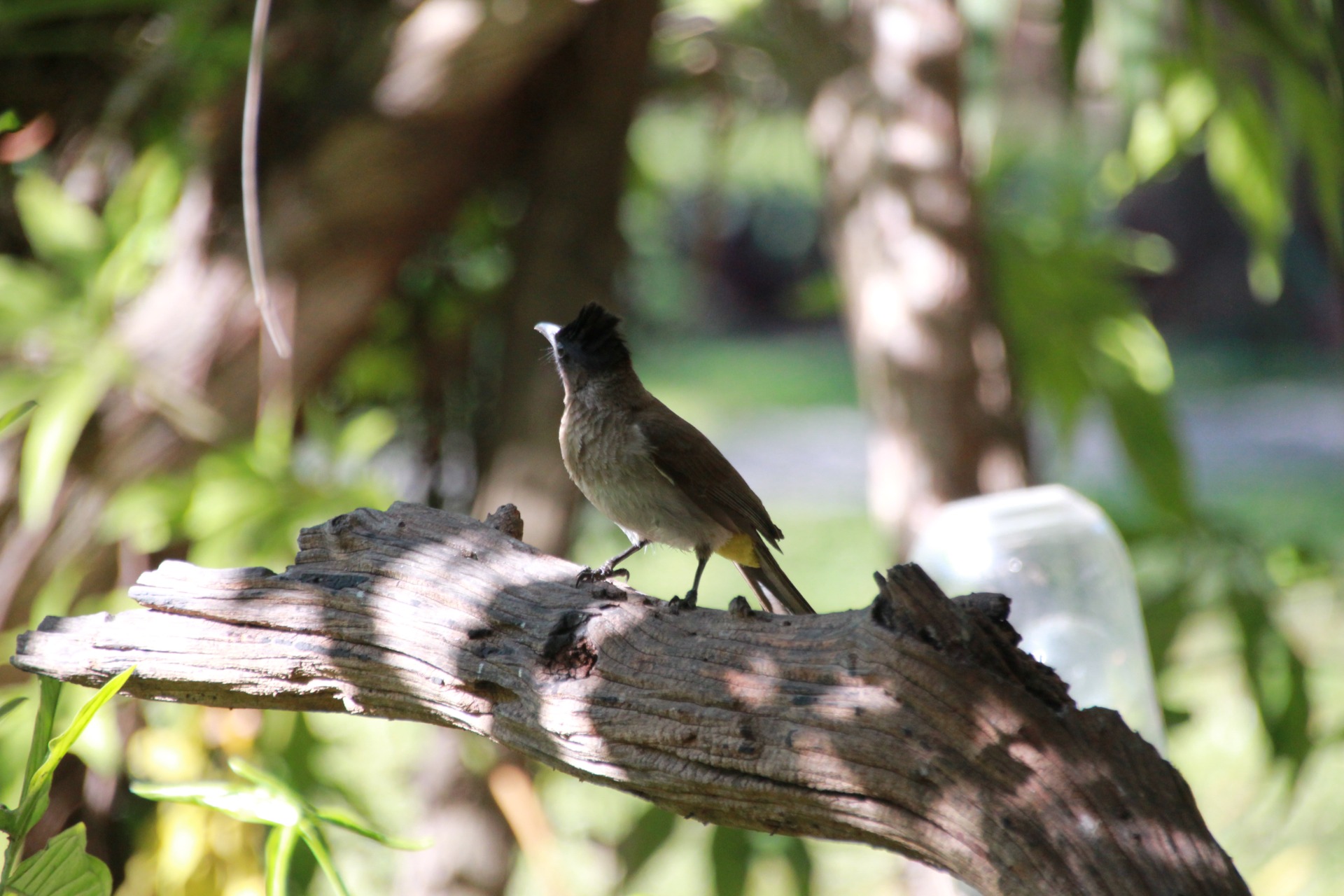 Vilanculos. Moçambique