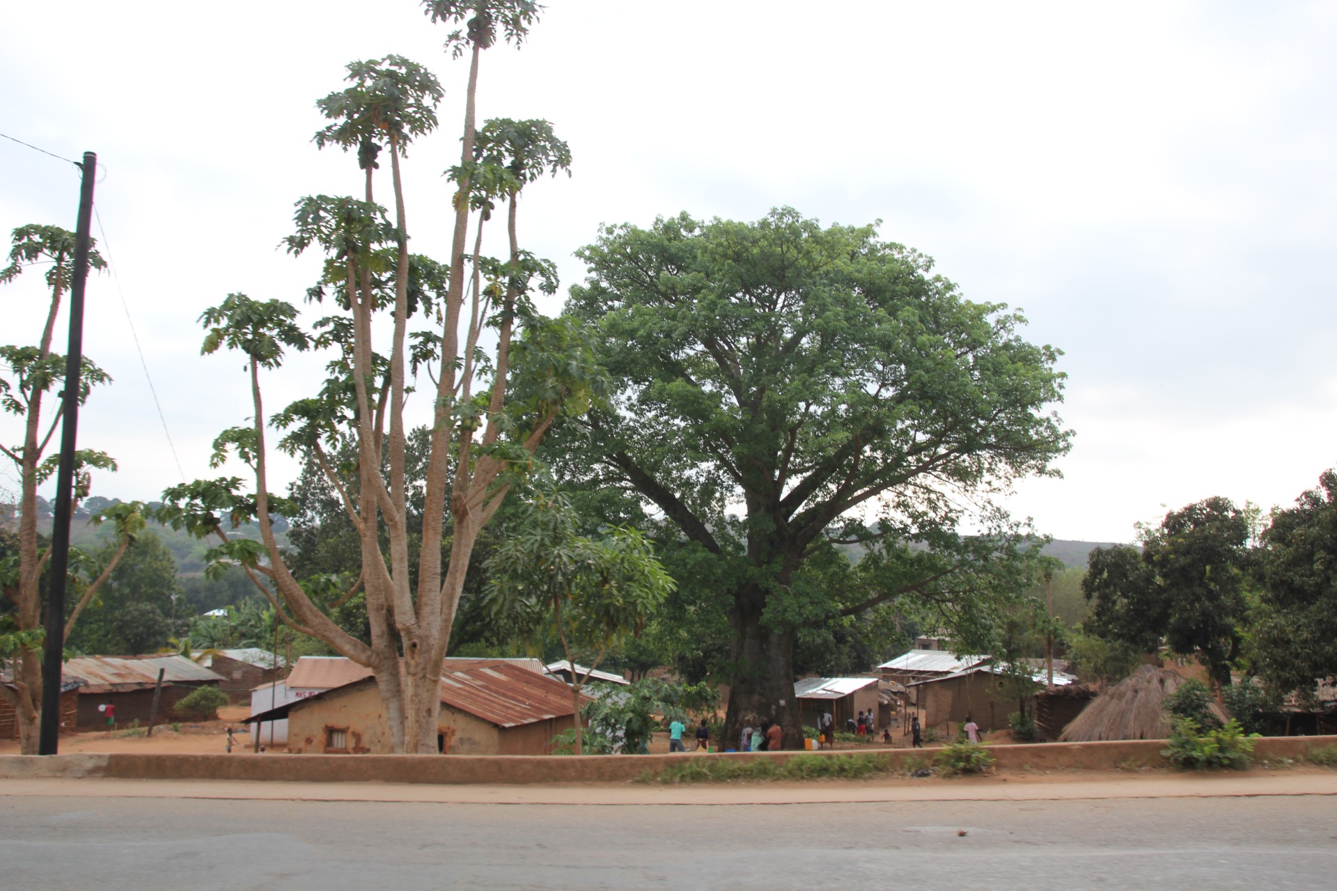 Paisagens ao longo da estrada da Beira a Nampula