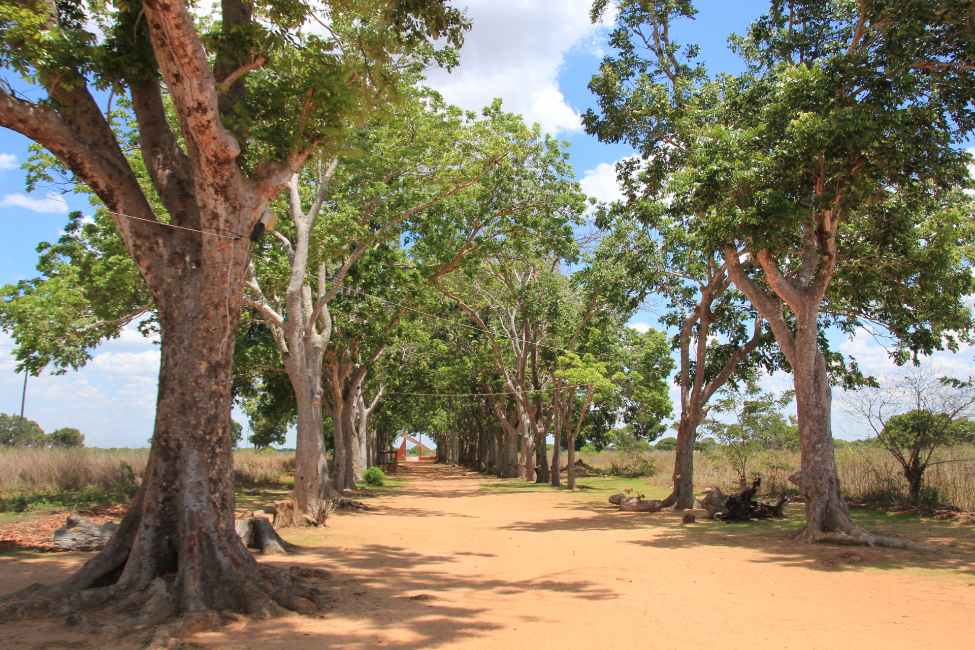Paisagens ao longo da estrada de Nampula a Nacala