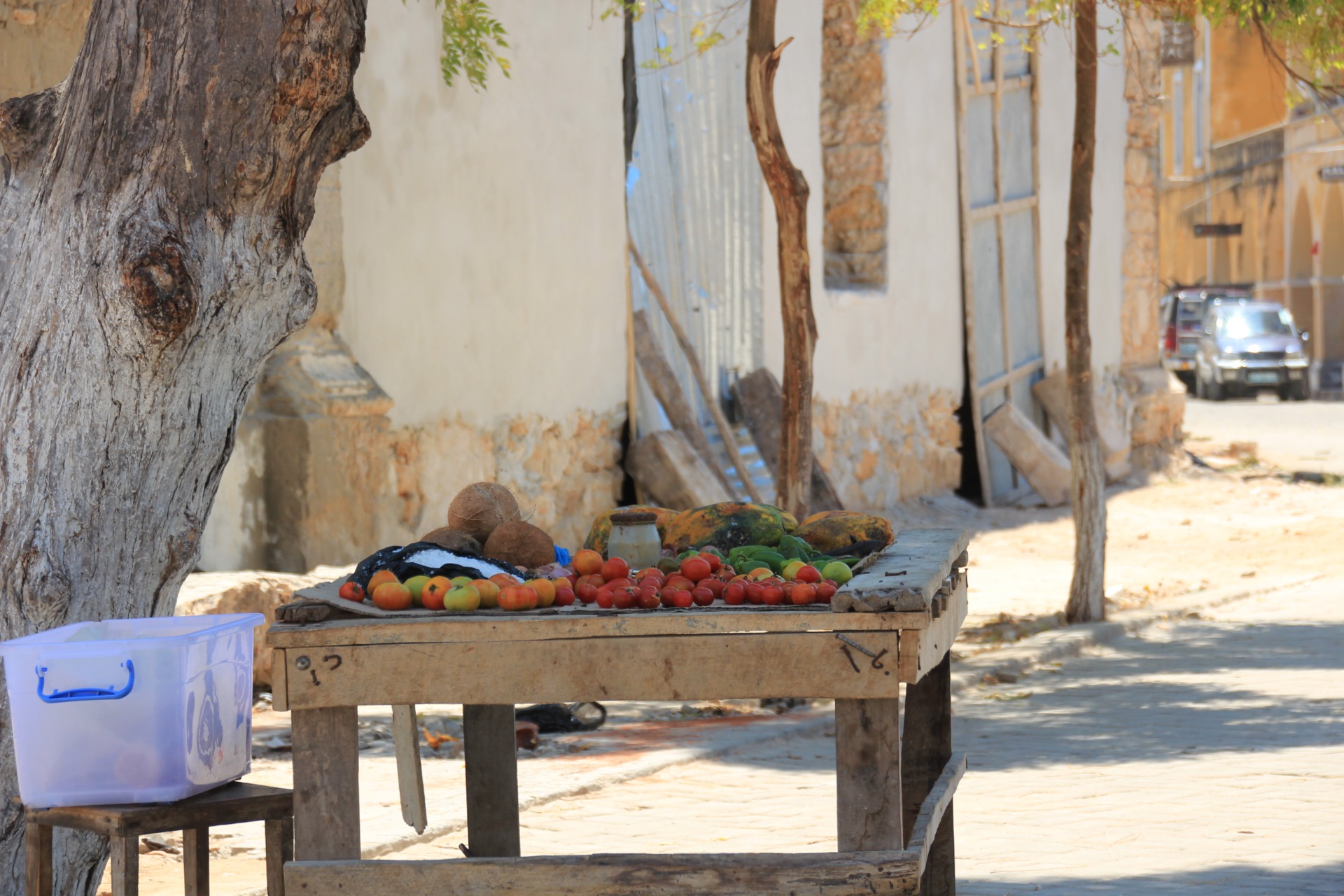 Ilha de Moçambique