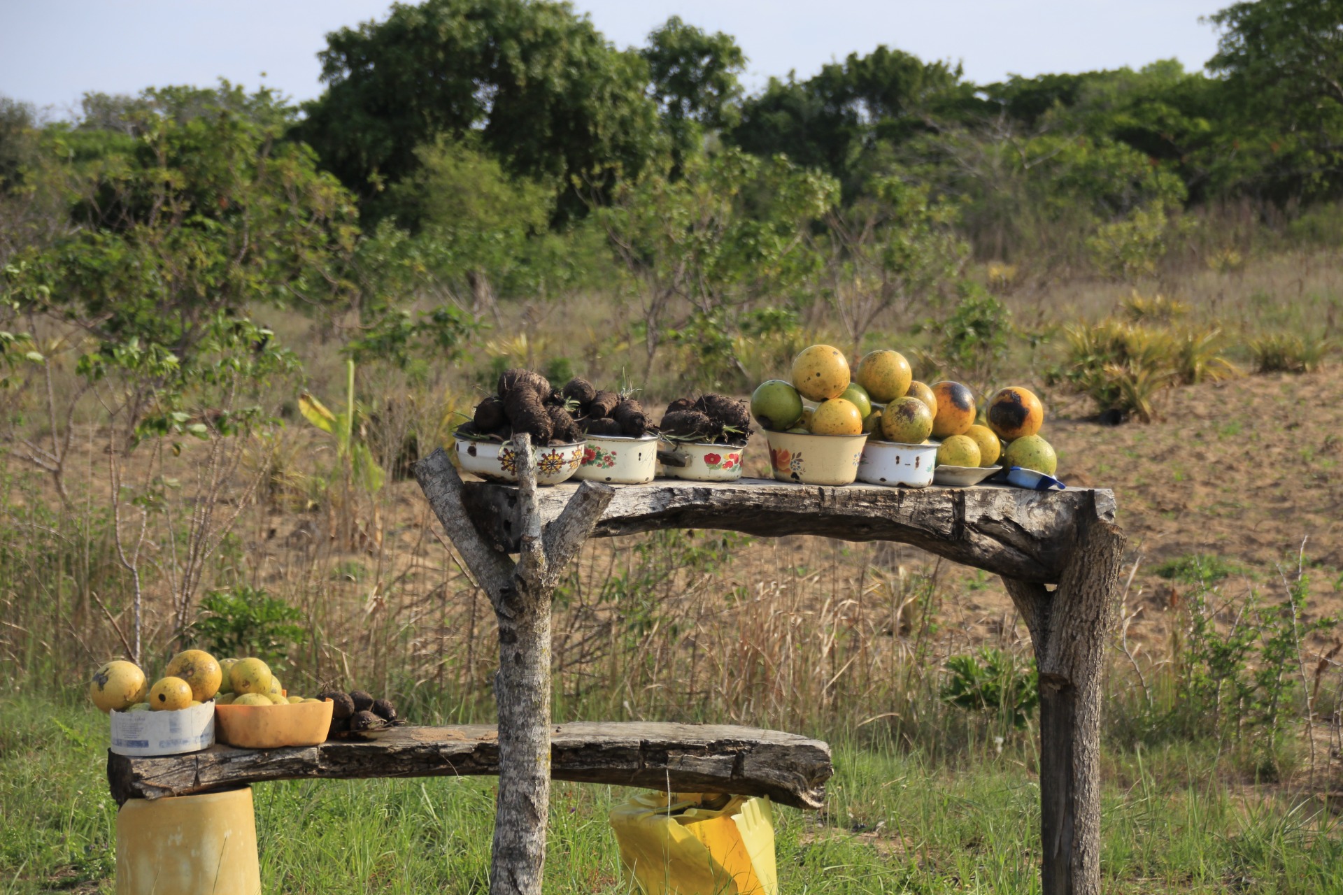 Paisagens ao longo da estrada de Maputo a Bilene
