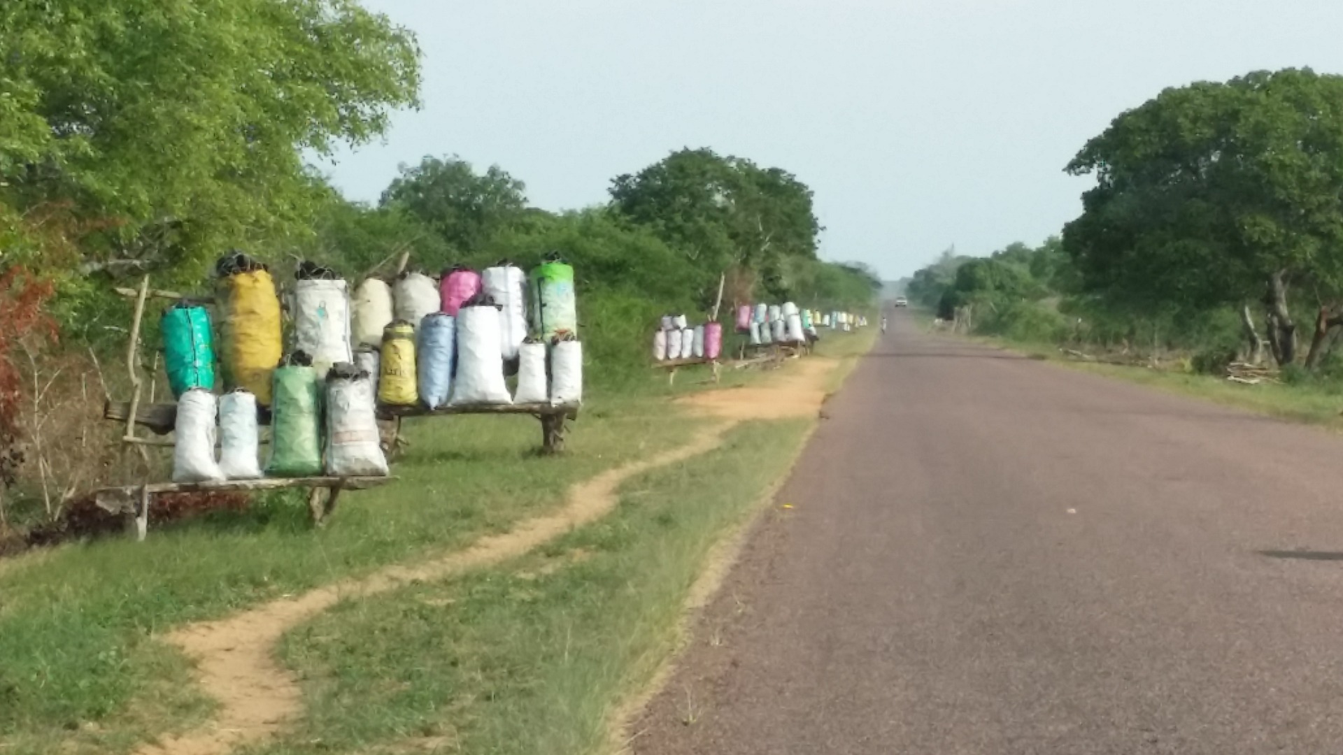 Paisagens ao longo da estrada de Maputo a Bilene