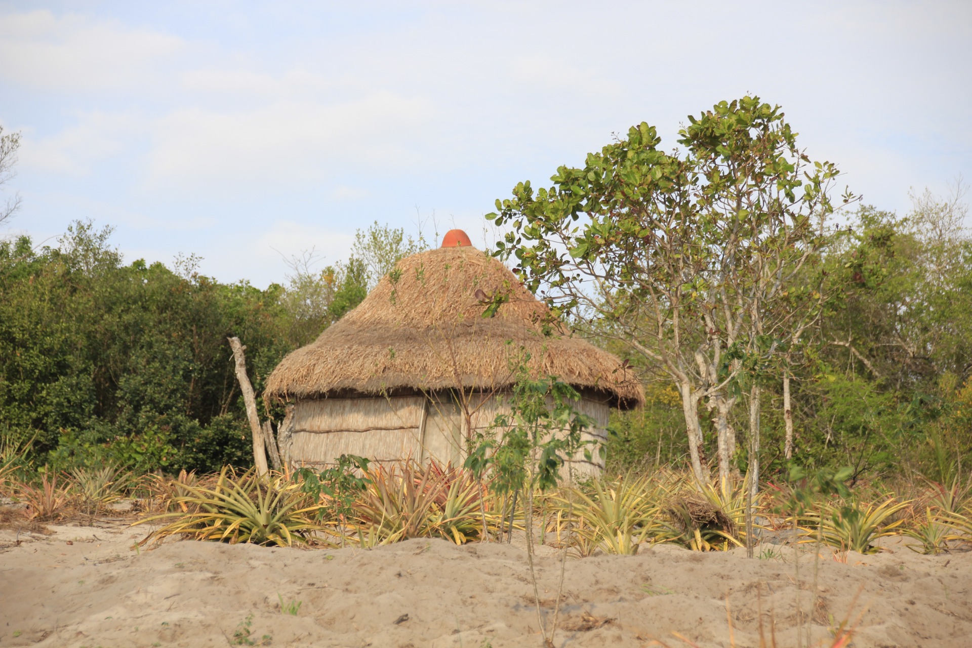 Paisagens ao longo da estrada de Maputo a Bilene