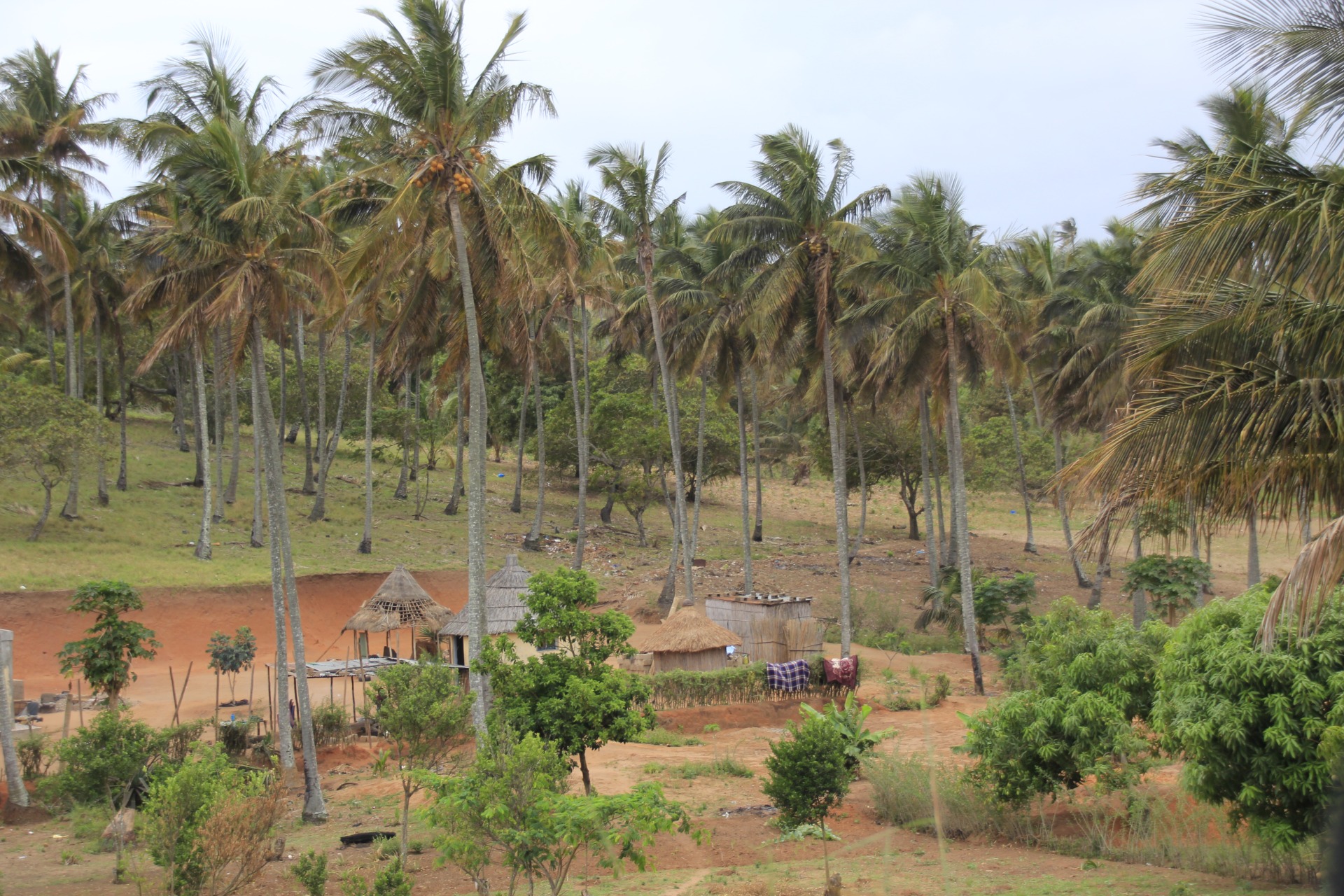Paisagens ao longo da estrada de Bilene a Inhambane