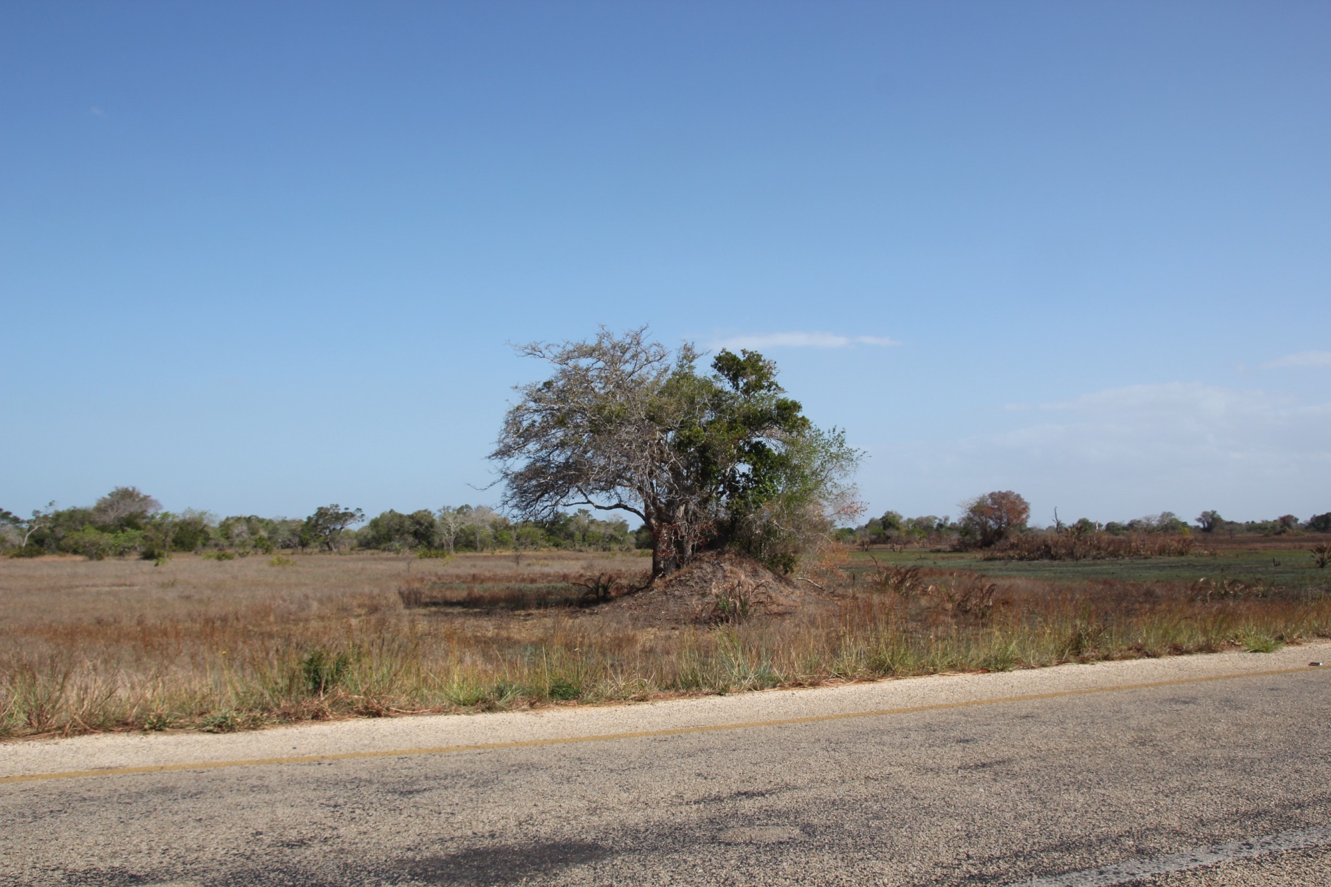 Paisagens ao longo da estrada de Inhambane a Vilanculos