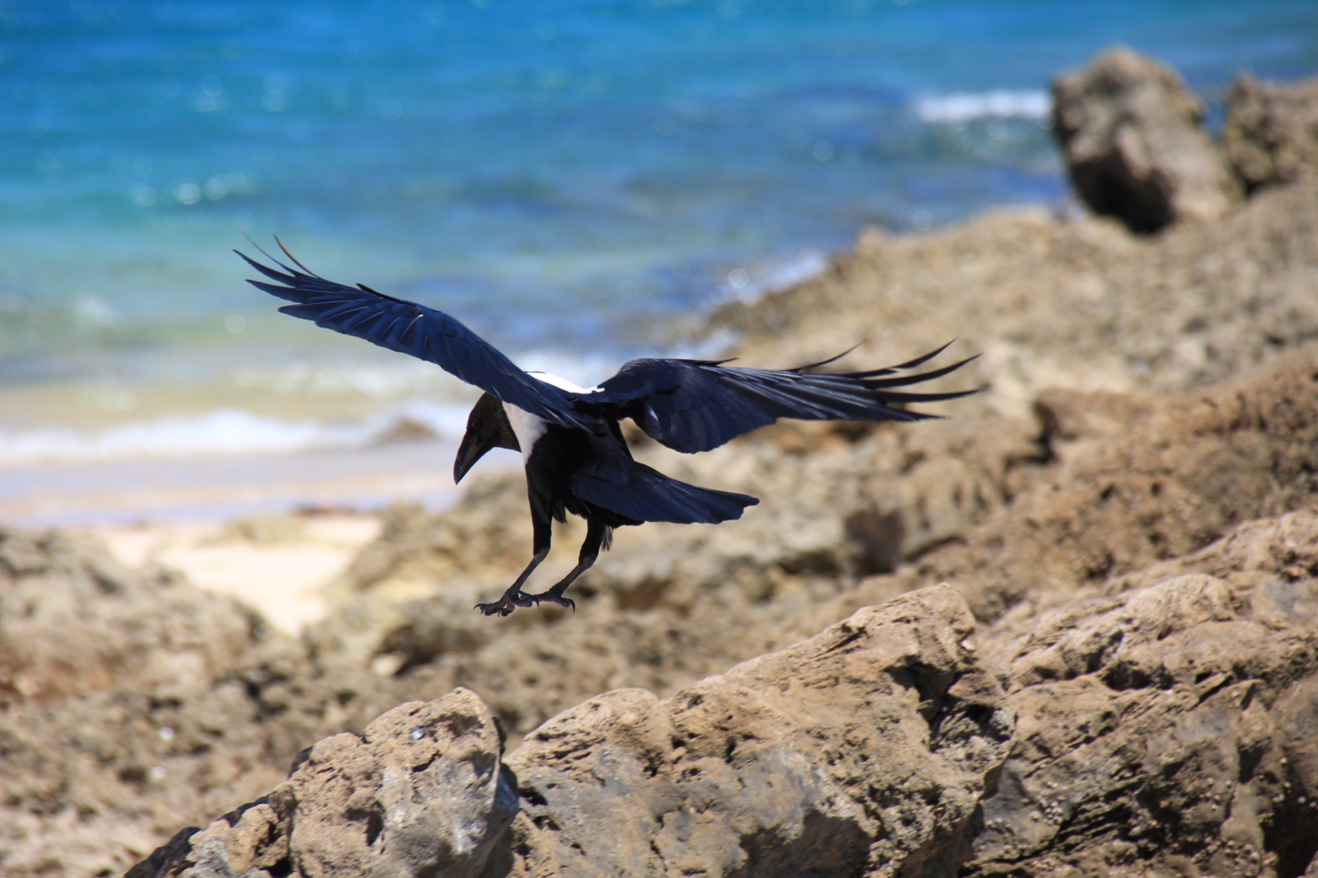 Ilha de Bazaruto
