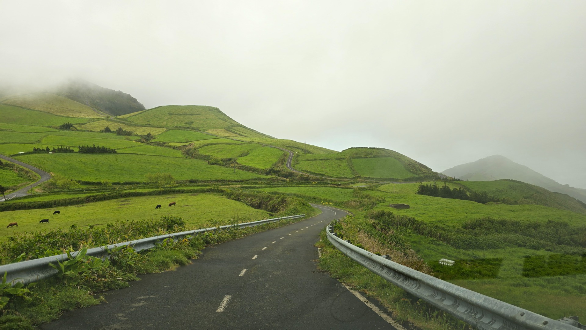 Ilha das Flores. Açores
