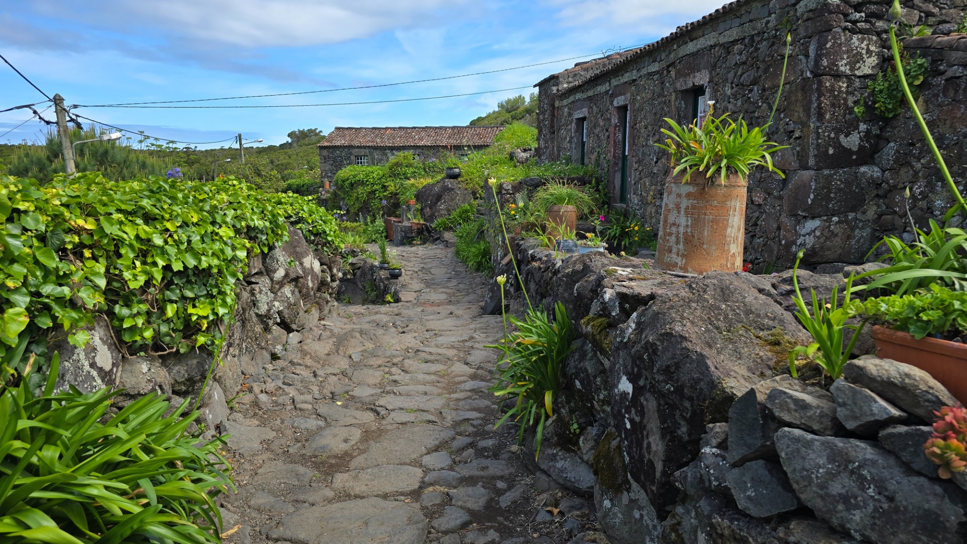 Ilha das Flores. Açores