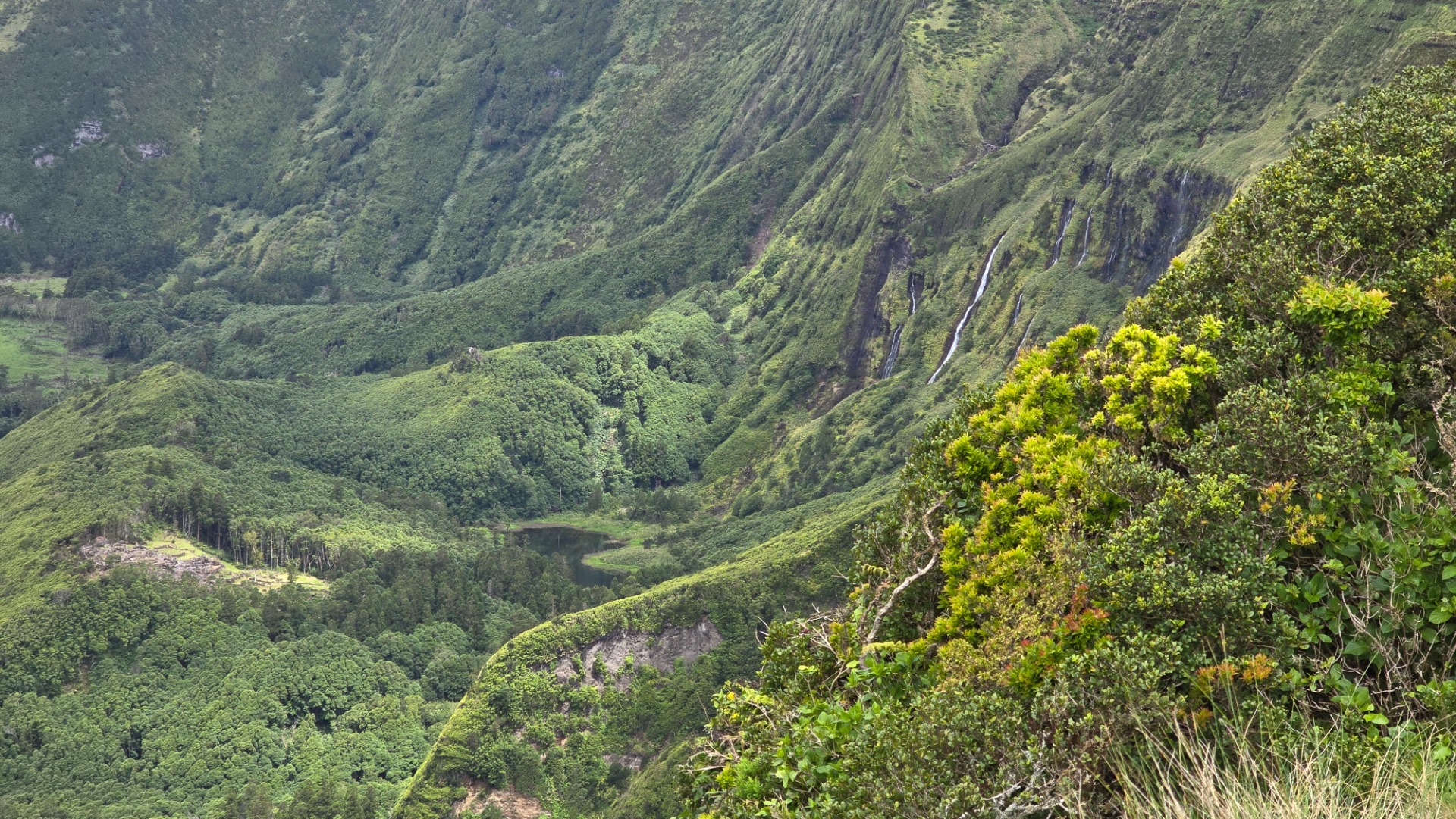 Ilha das Flores. Açores