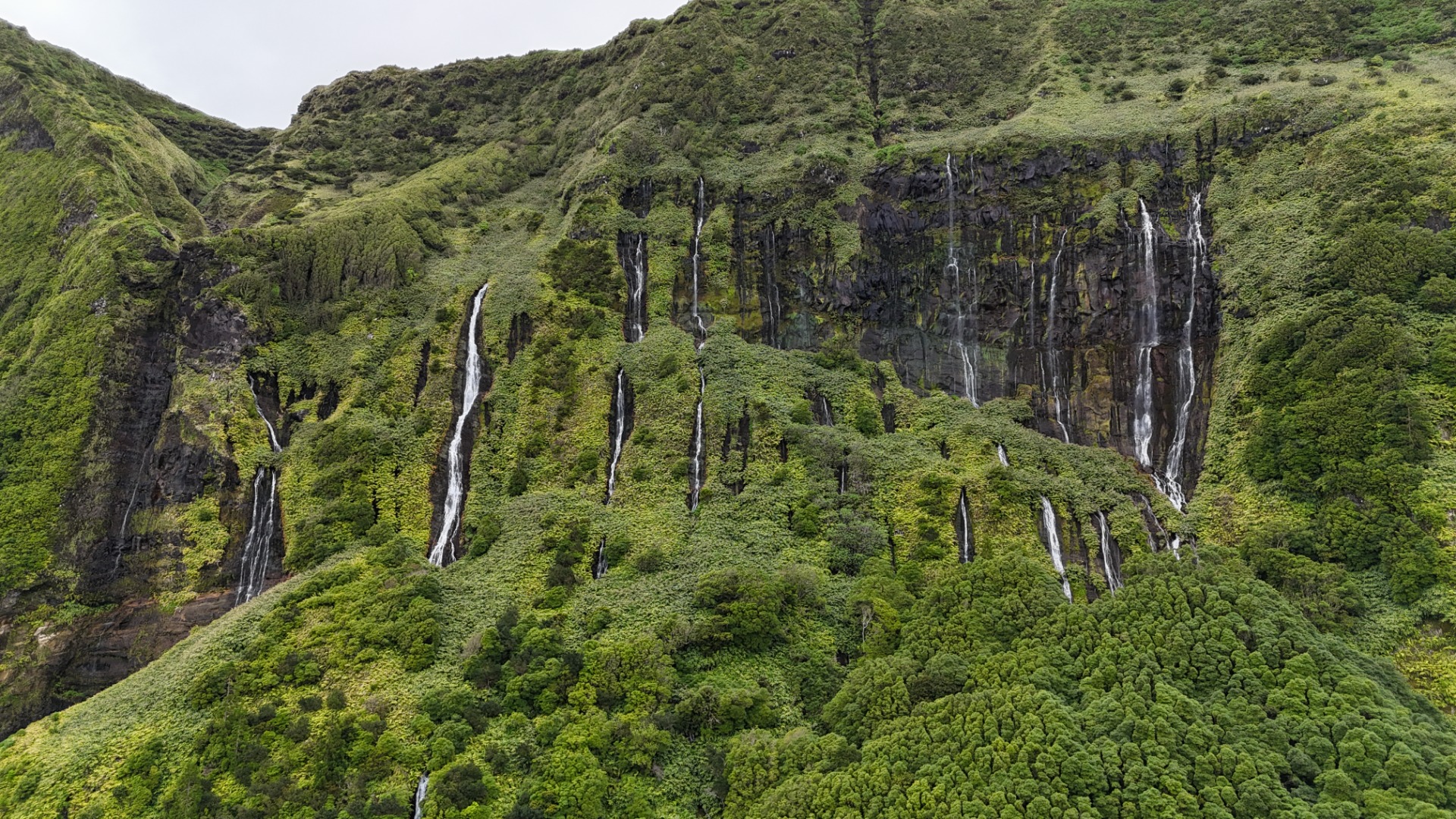 Ilha das Flores. Açores