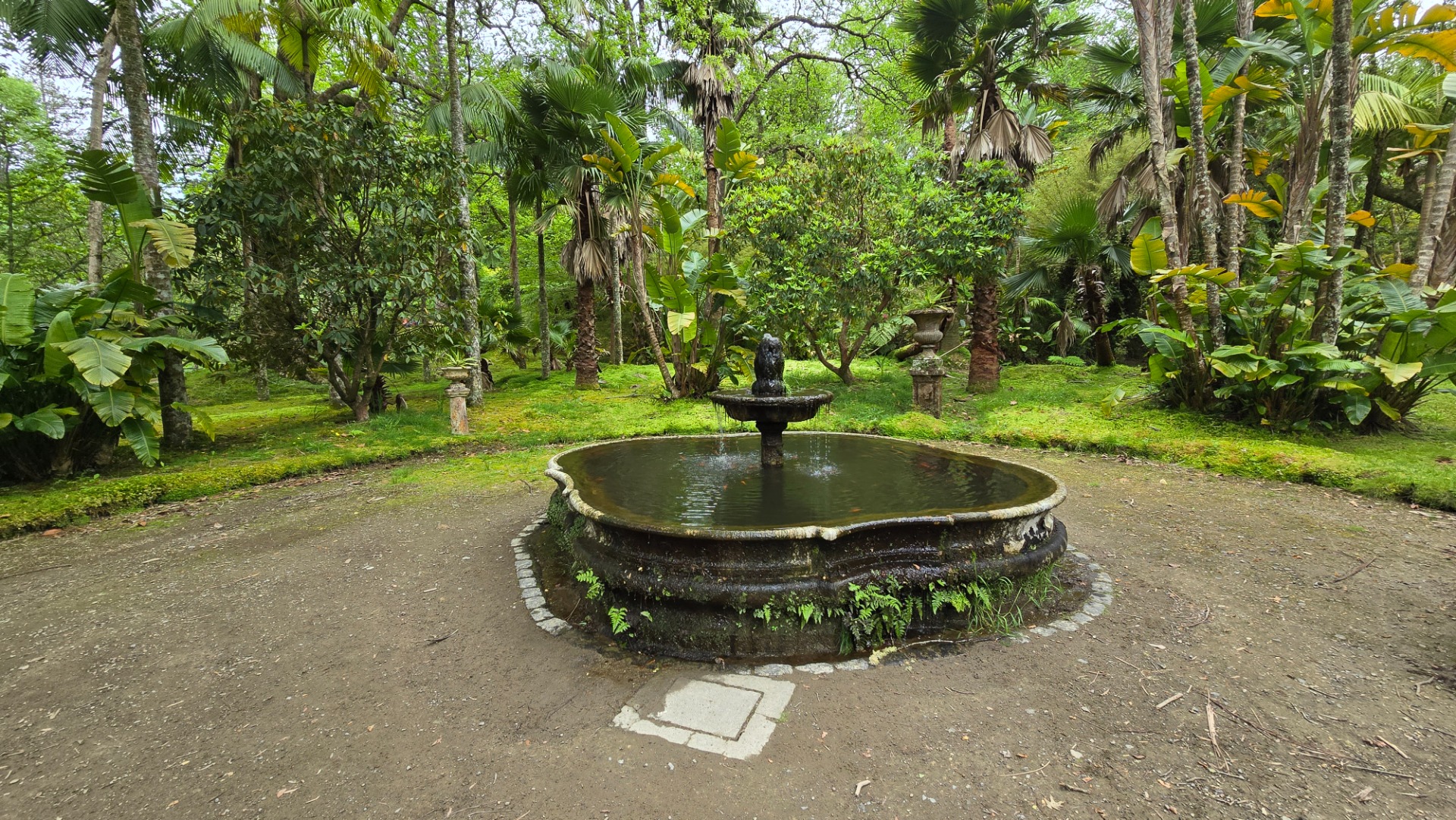 Parque Terra Nostra. Ilha de São Miguel