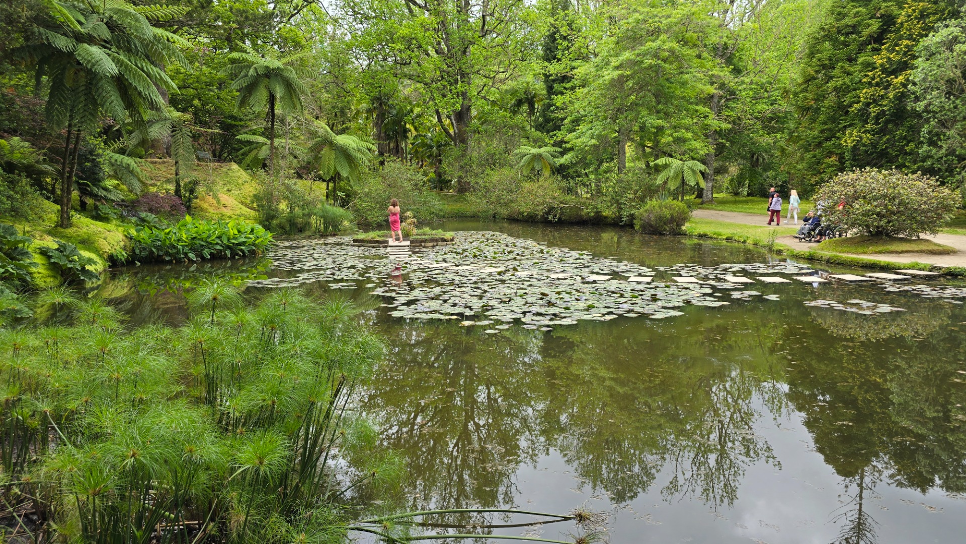 Parque Terra Nostra. Ilha de São Miguel