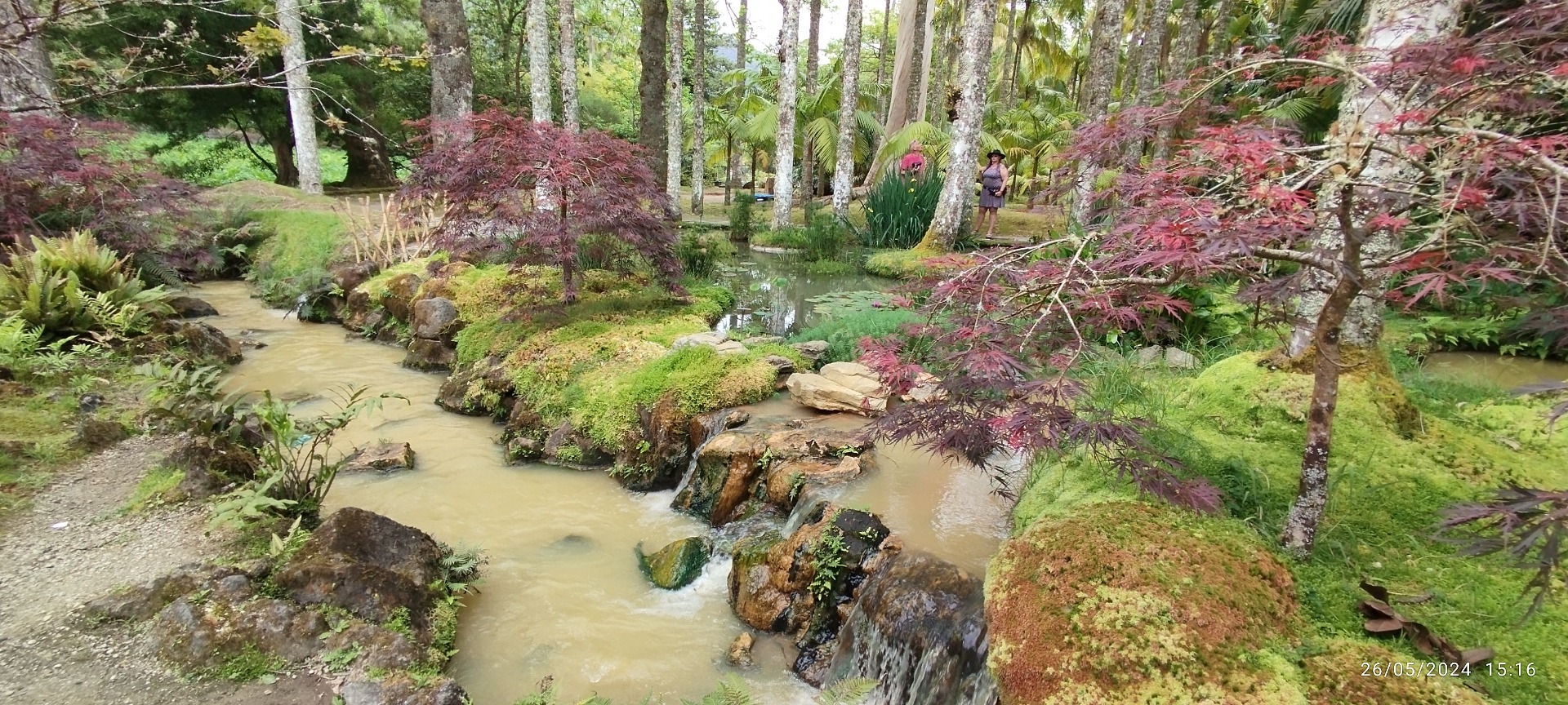Parque Terra Nostra. Ilha de São Miguel