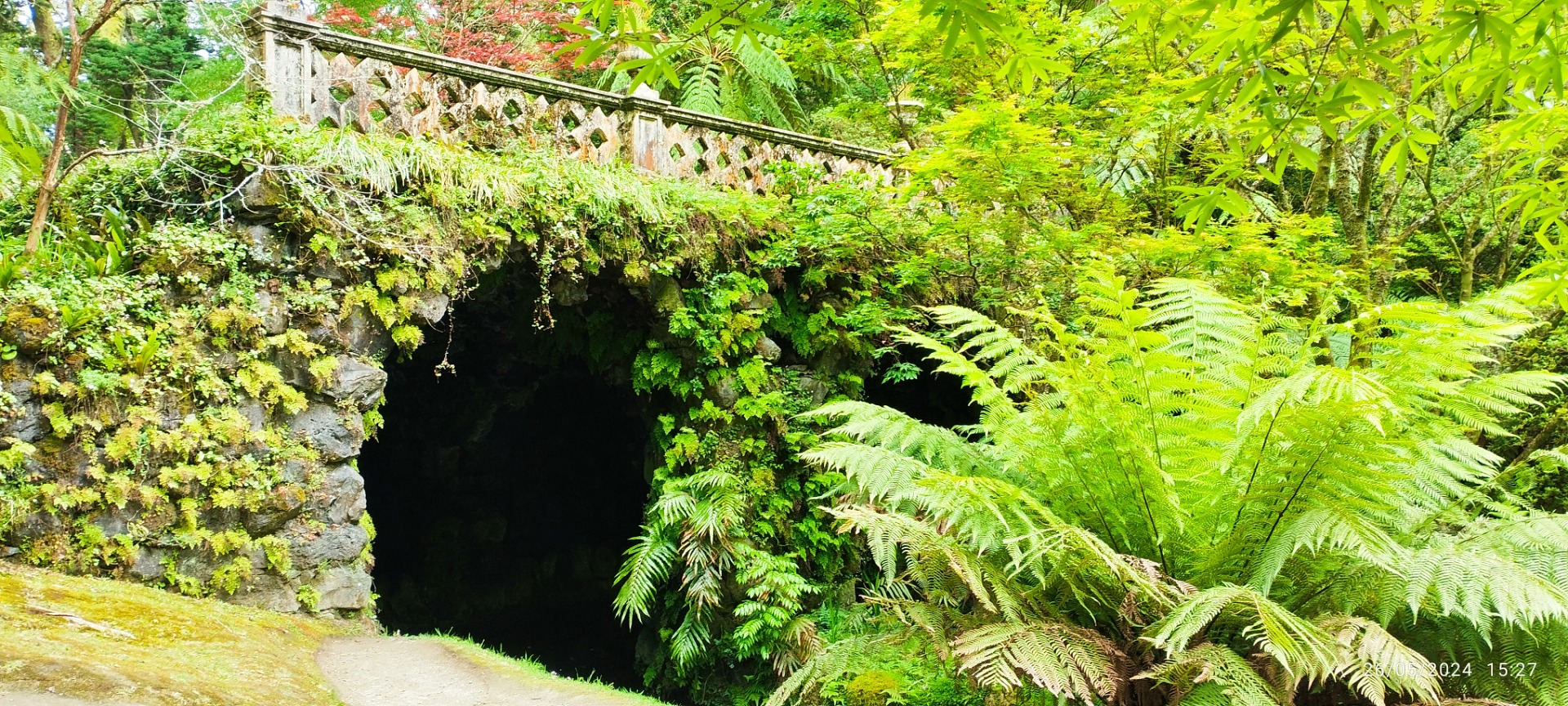 Parque Terra Nostra. Ilha de São Miguel
