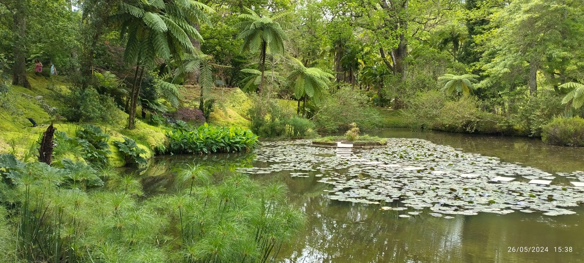 Parque Terra Nostra. Ilha de São Miguel