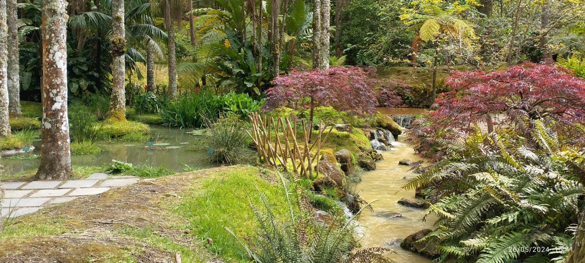Parque Terra Nostra. Ilha de São Miguel