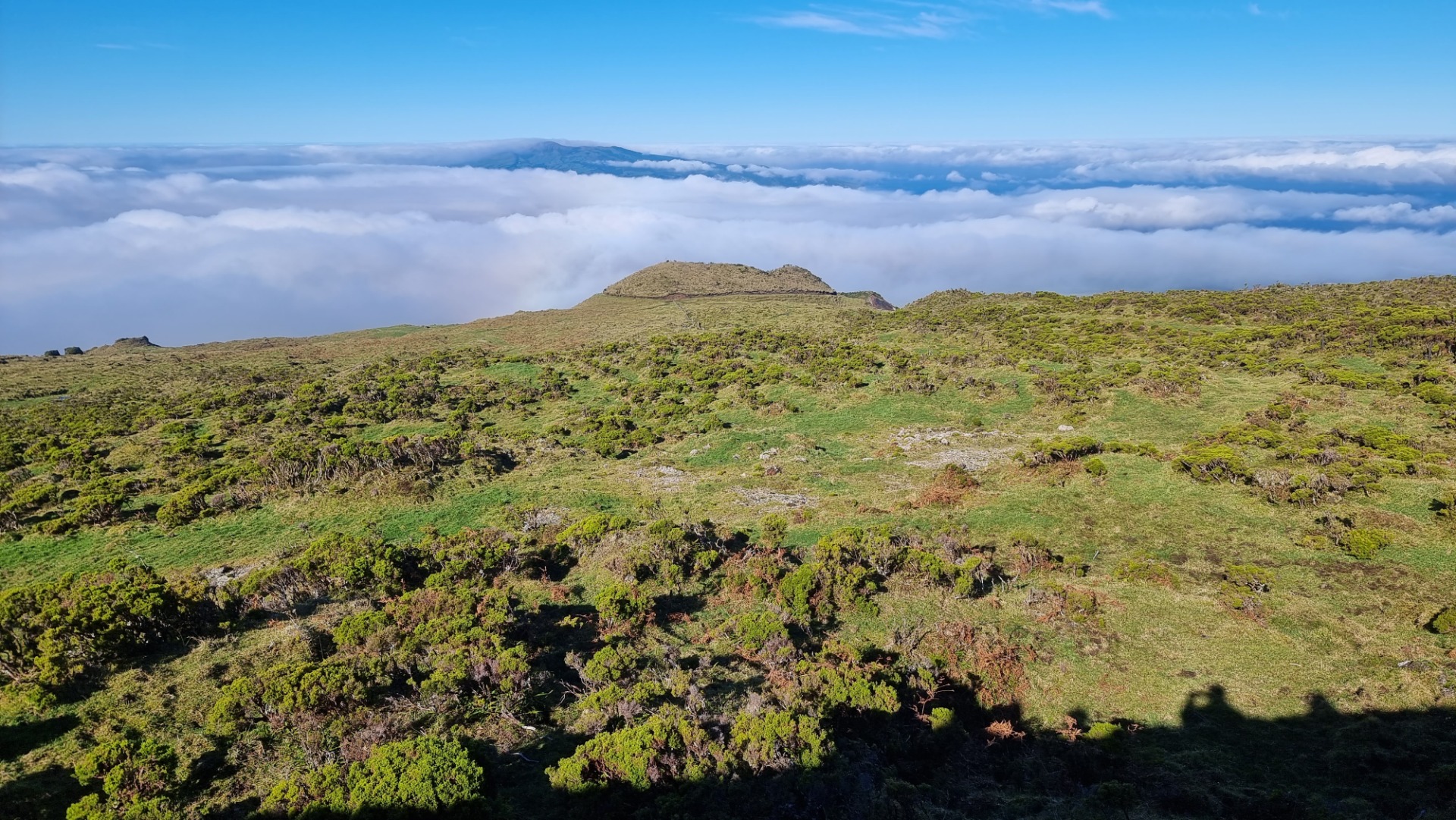 Ilha do Pico (Açores)