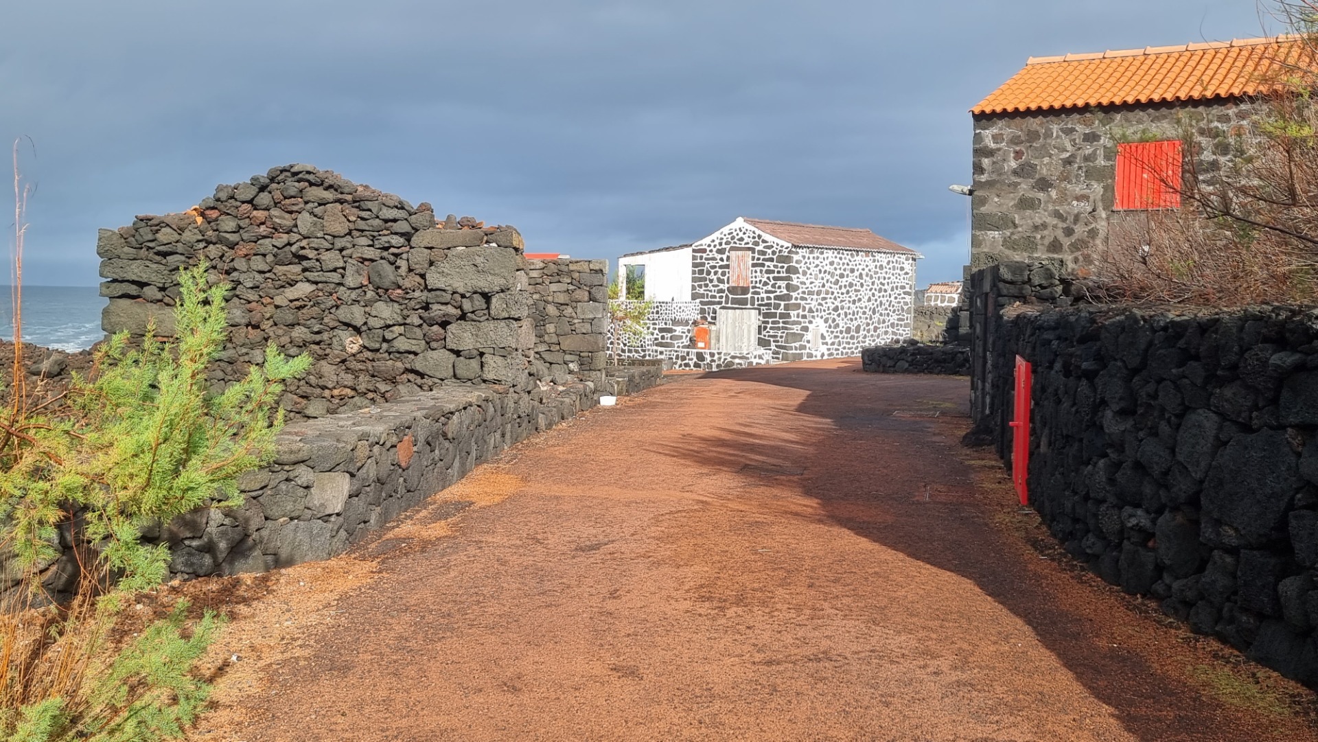 Ilha do Pico (Açores)