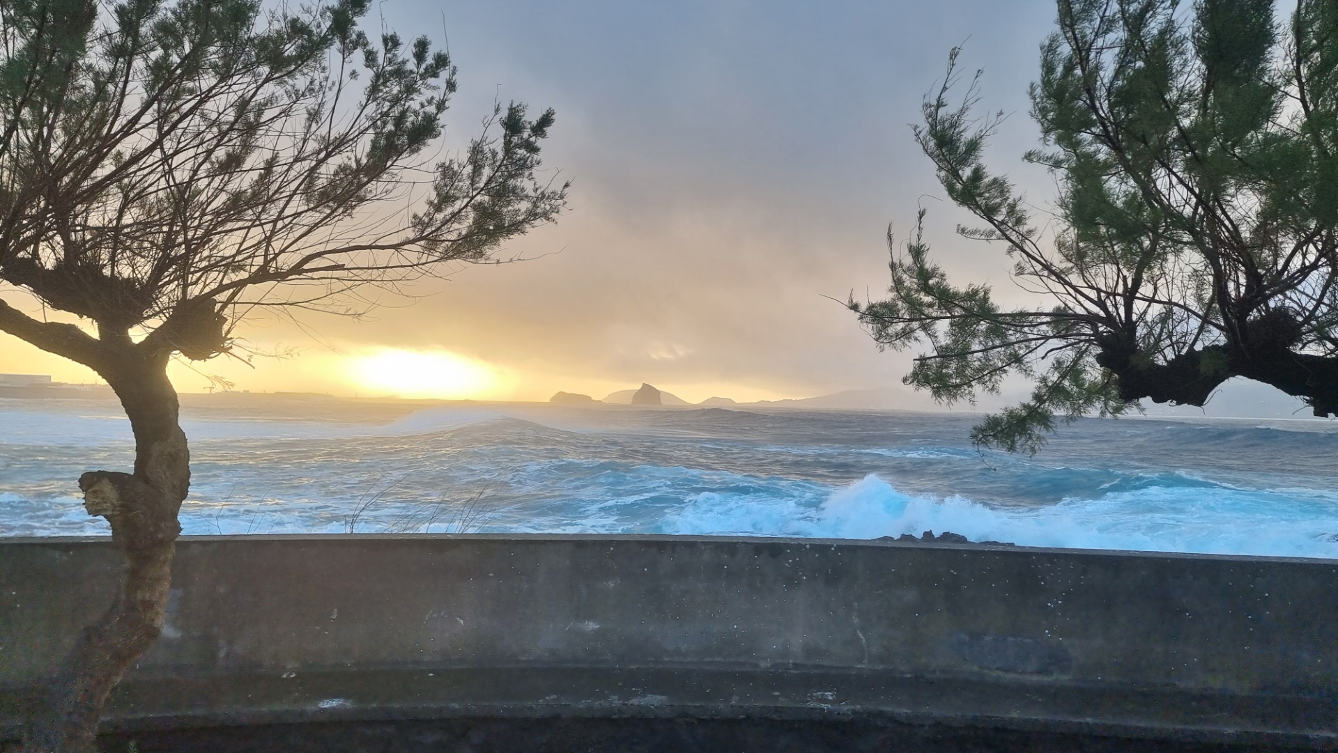 Ilha do Pico (Açores)