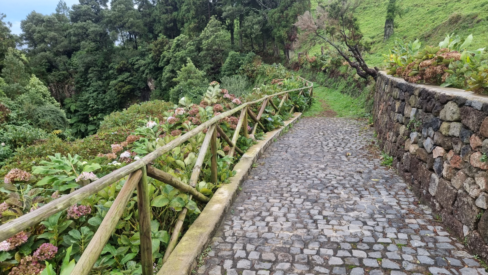 Cascata do Cruzal (Ilha de São Jorge)