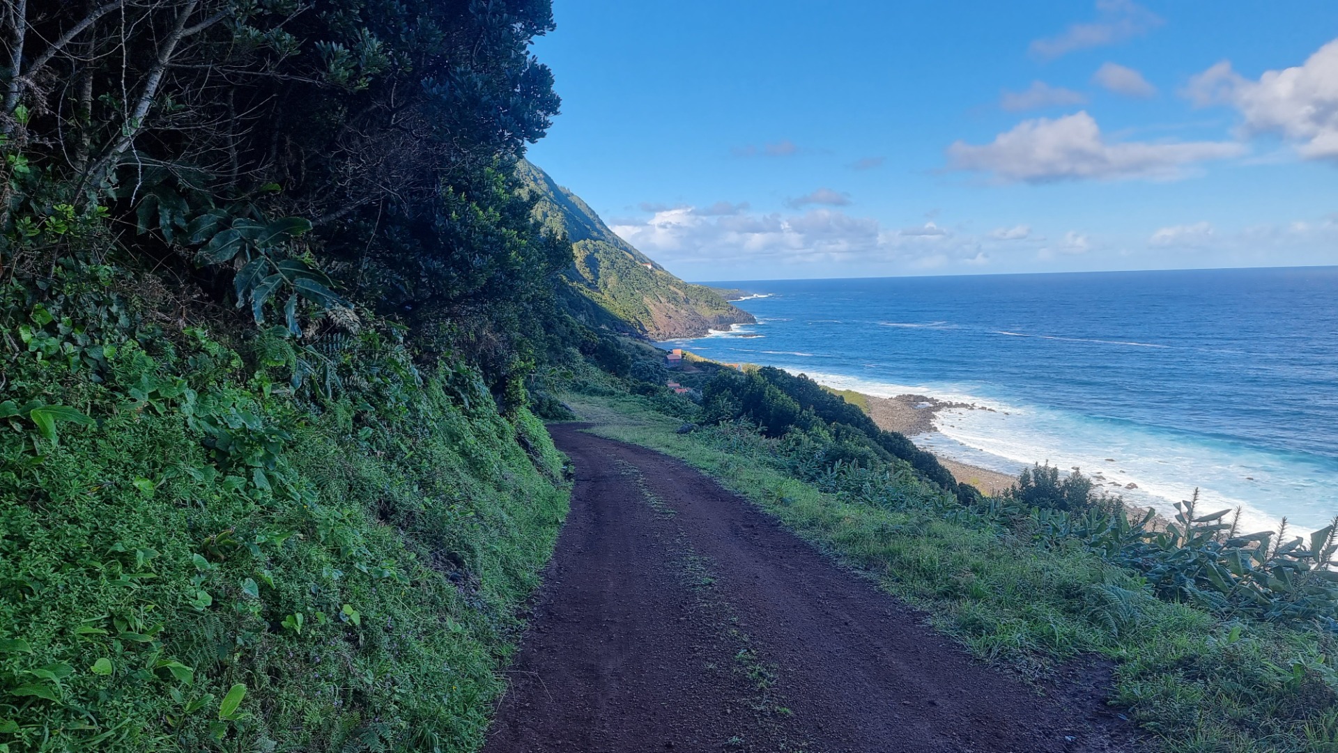 Fajã da Penedia (ilha de São Jorge)