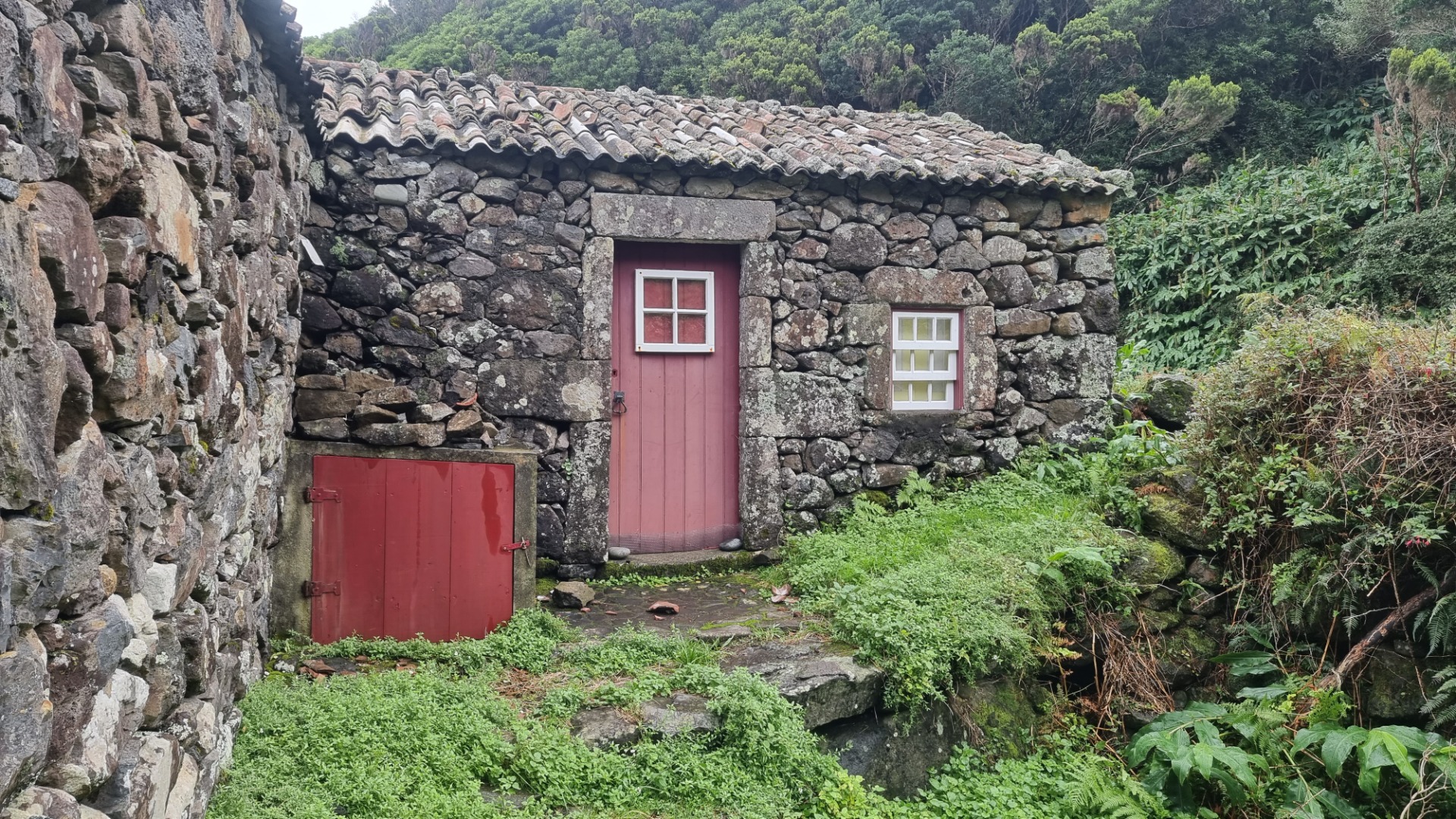 Fajã de Santo Cristo (Ilha de São Jorge)