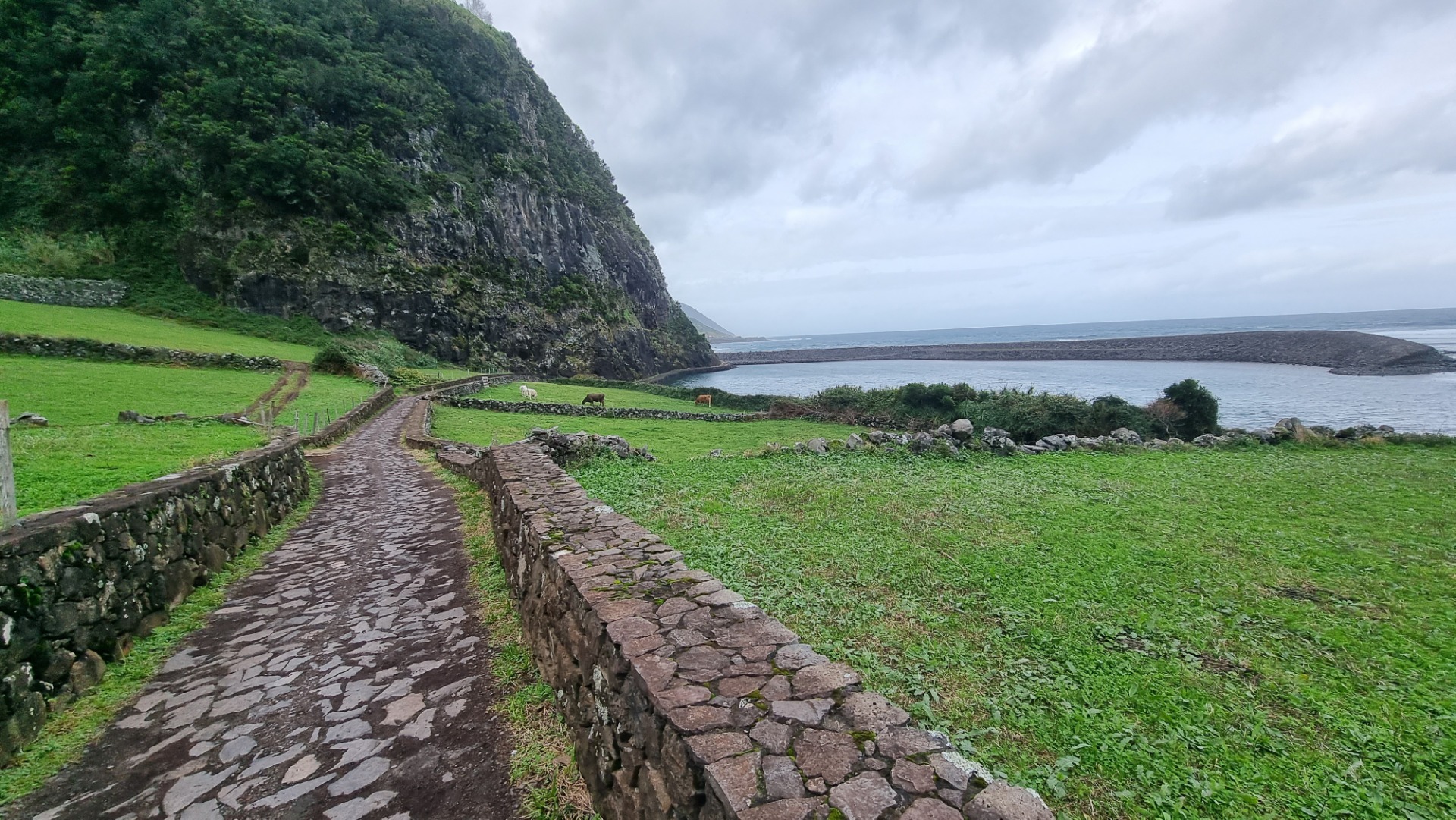 Fajã de Santo Cristo (Ilha de São Jorge)