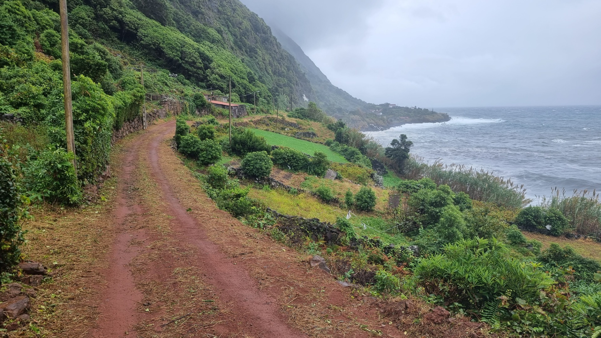 Fajã dos Bodes (Ilha de São Jorge)