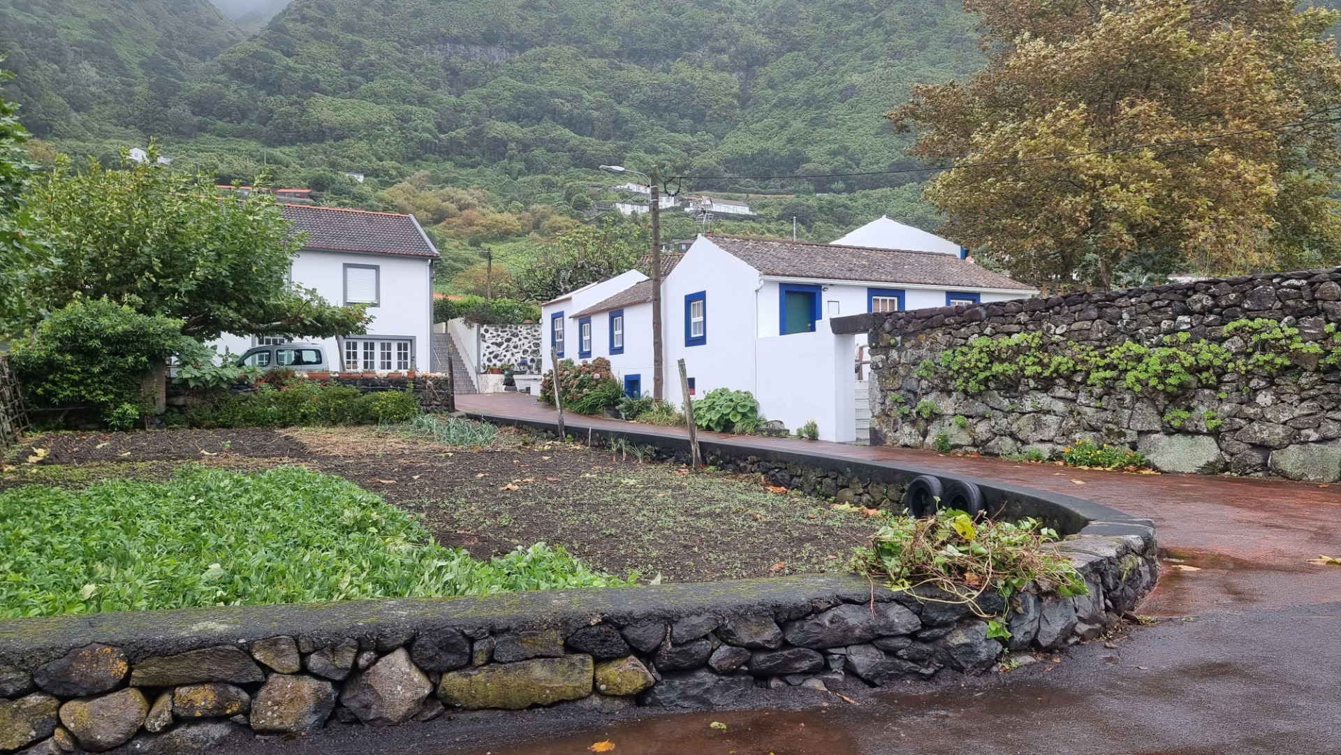 Fajã dos Vimes (Ilha de São Jorge)