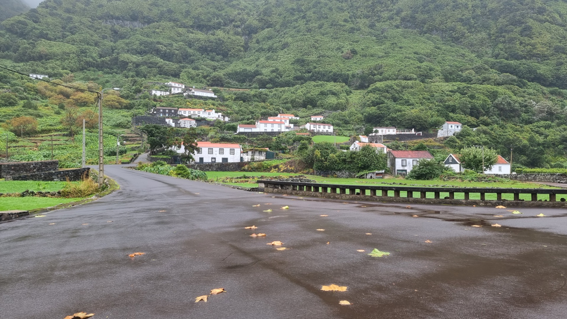 Fajã dos Vimes (Ilha de São Jorge)