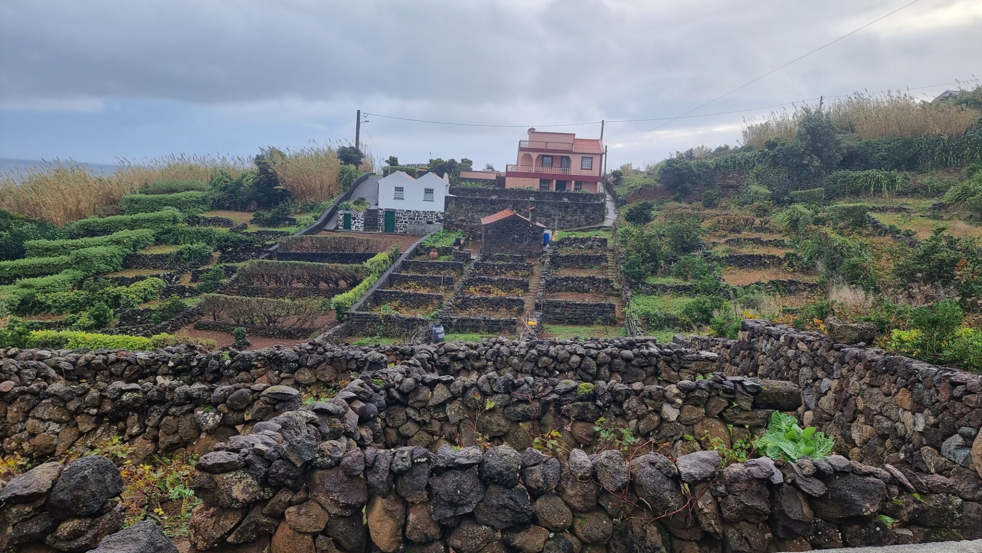 Vila do Topo (Ilha de São Jorge)