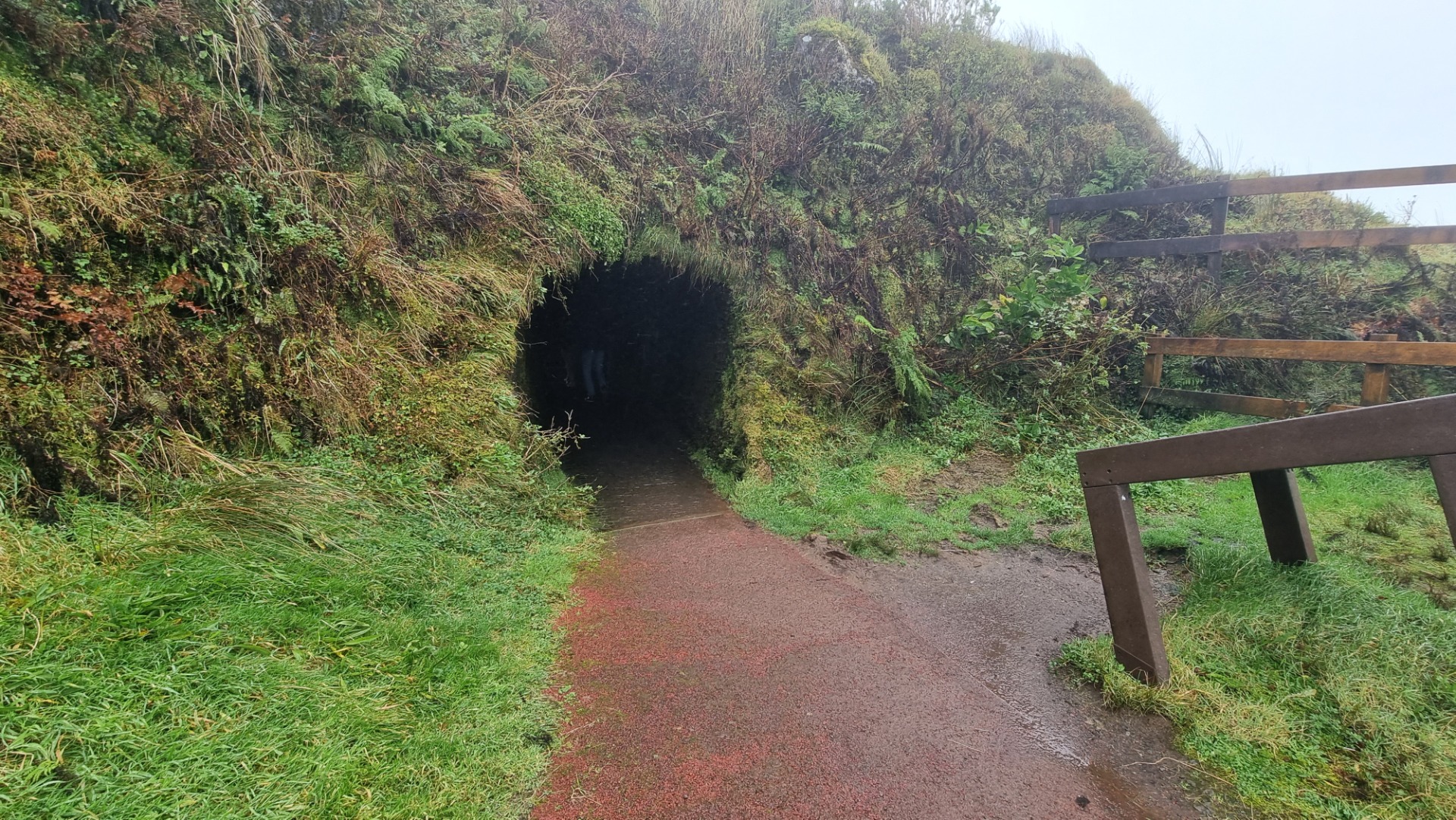 Visitando a Ilha do Faial (Açores)