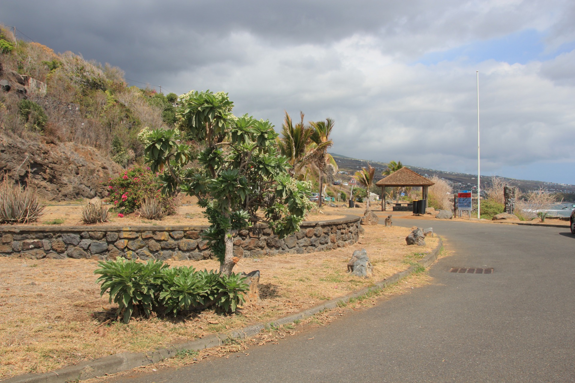 Ilha de Reunião
