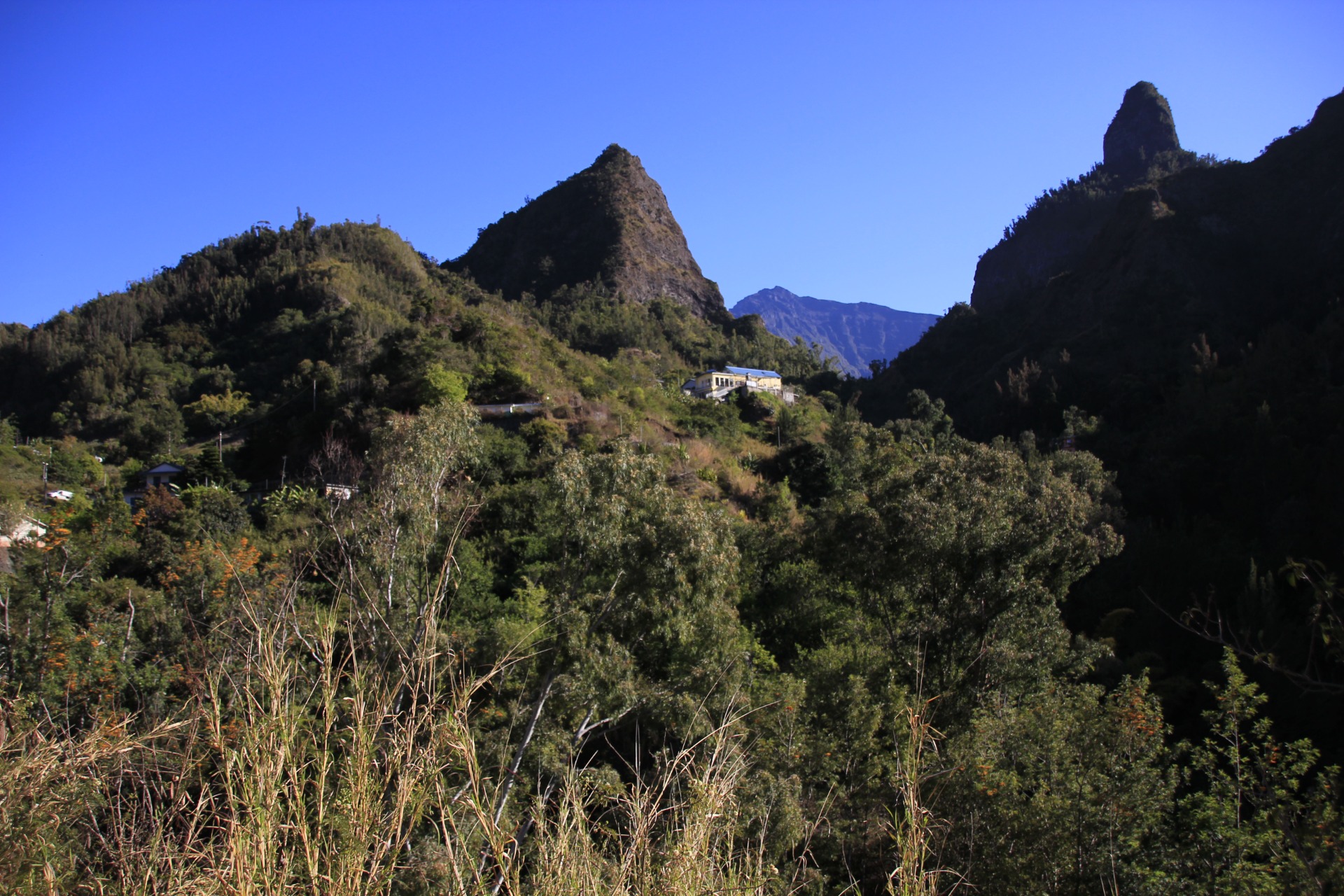 Ilha de Reunião