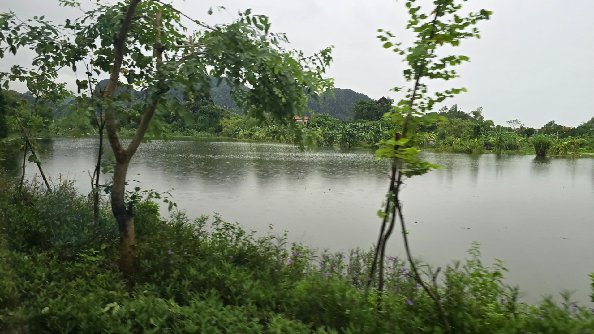 Ninh Binh, Hanoi. Vietname