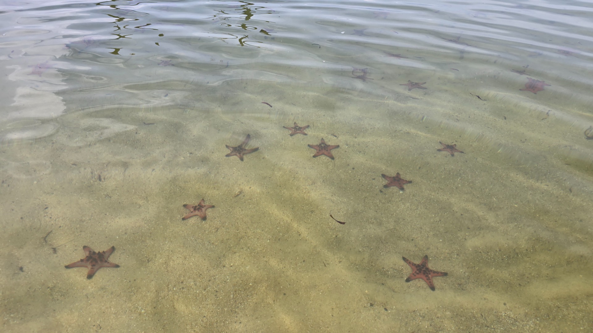 Phu Quoc - Praia das Estrelas do mar (Star Beach)