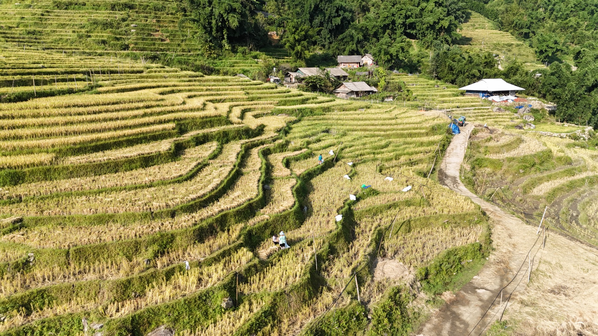 Mantendo a base em Hanoi, fomos conhecer os arrozais no norte do Vietname em SaPa