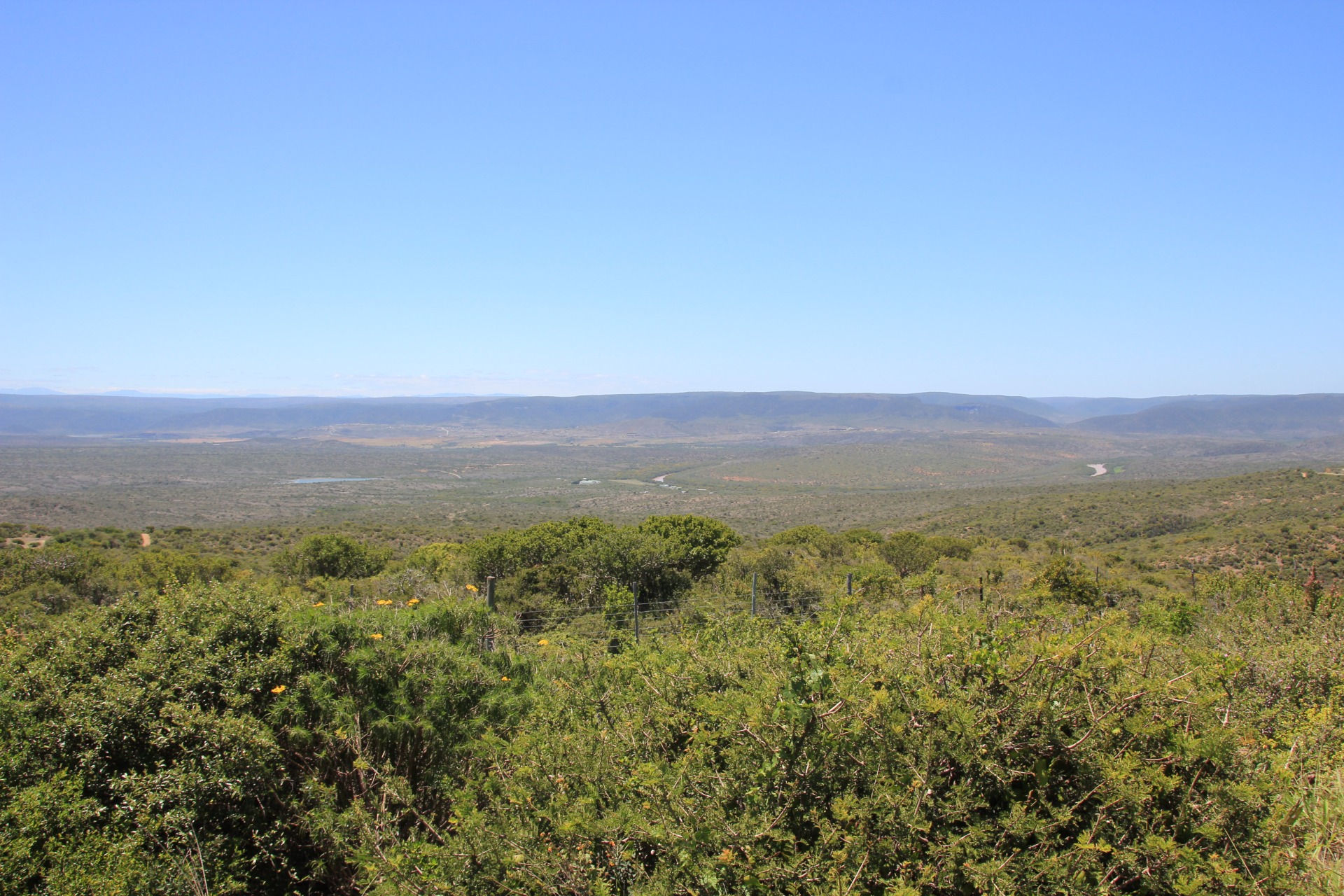 Pelas estradas de Durban a Knysna