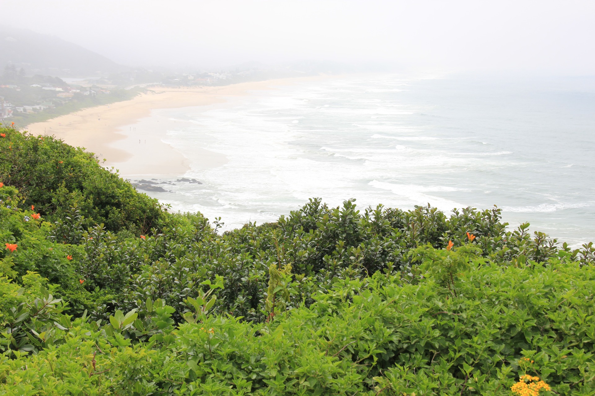 Pelas estrada de Knysna á Cidade do Cabo